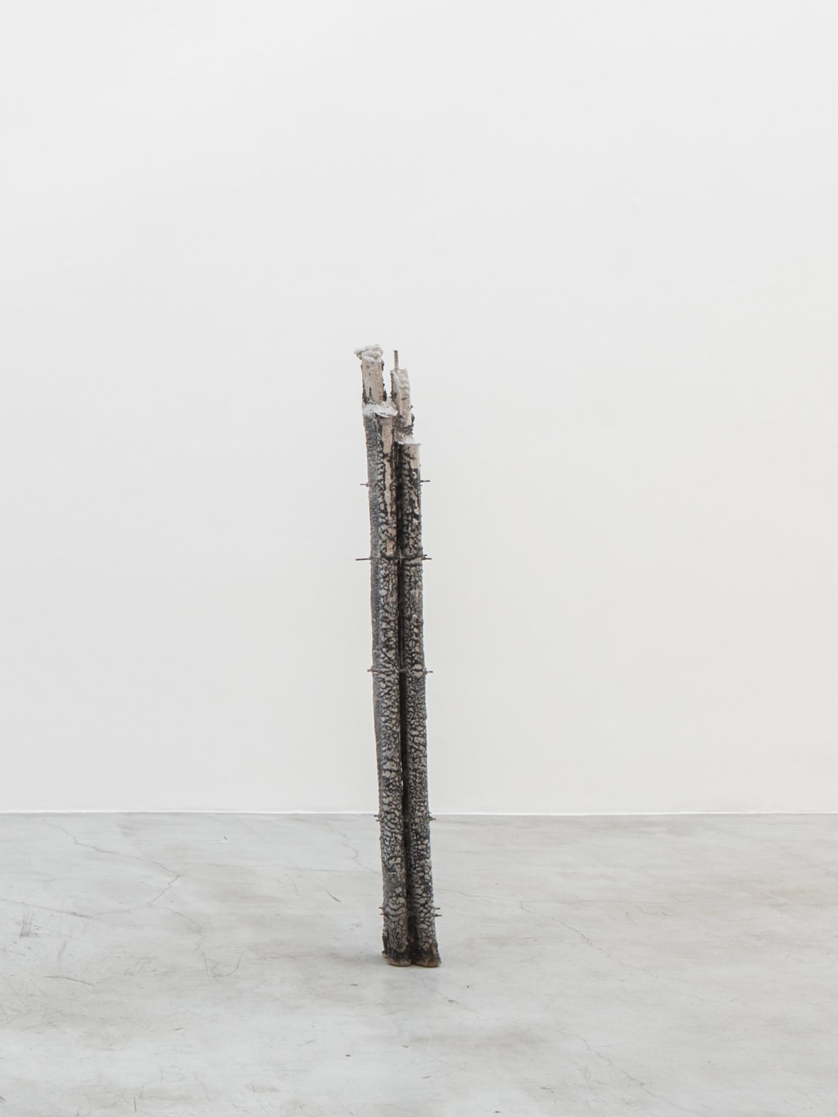 Felipe Seixas, Sem título, 2019