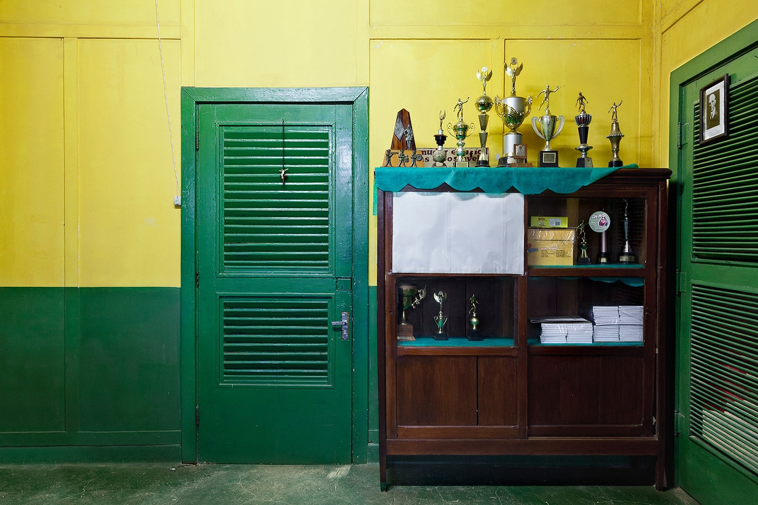 Romy Pocztaruk, A última aventura, Fordlândia V, 2012