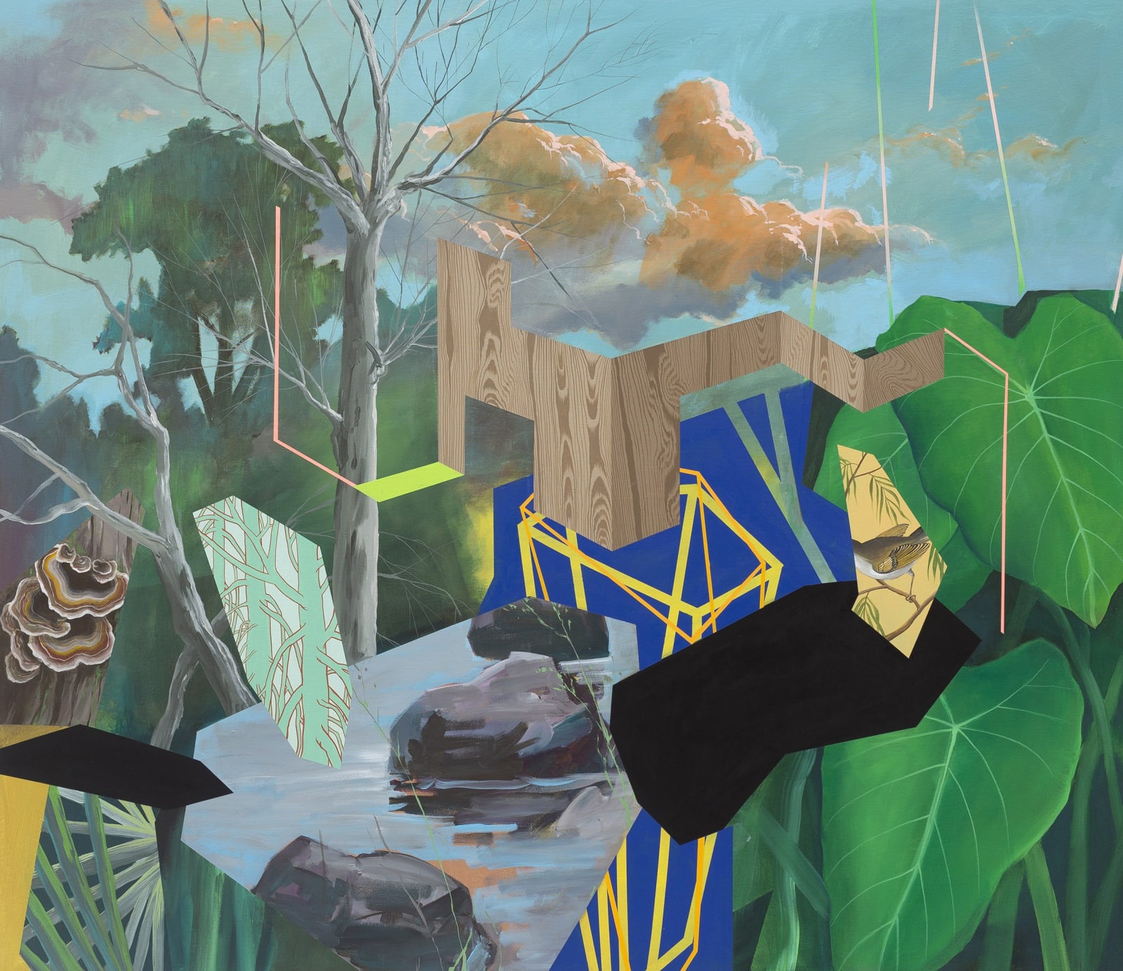 James Kudo, Sem título, 2019