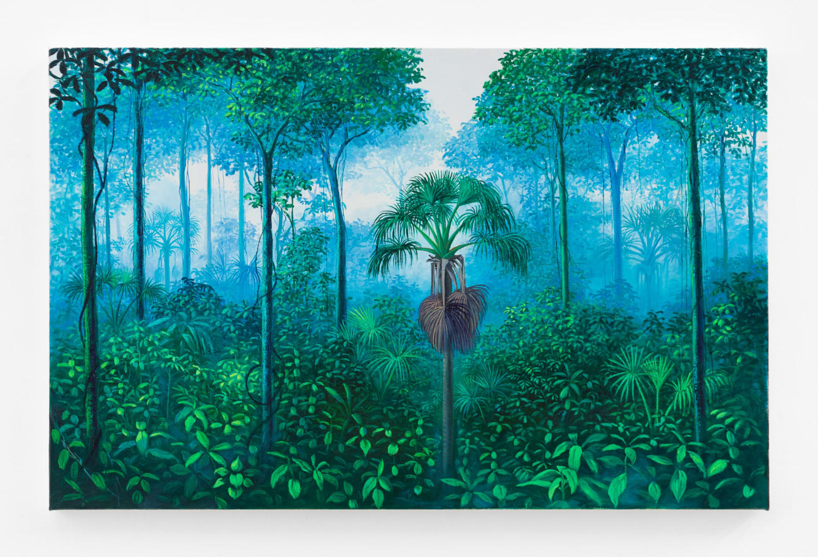 Miguel Penha Chiquitano, Buriti, 2025