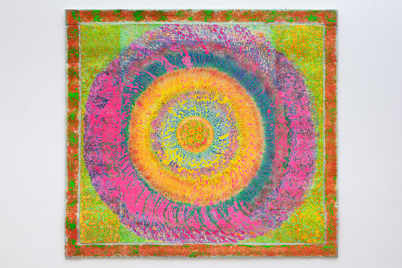 Delson Uchôa, Calota lunar, 2013/2014