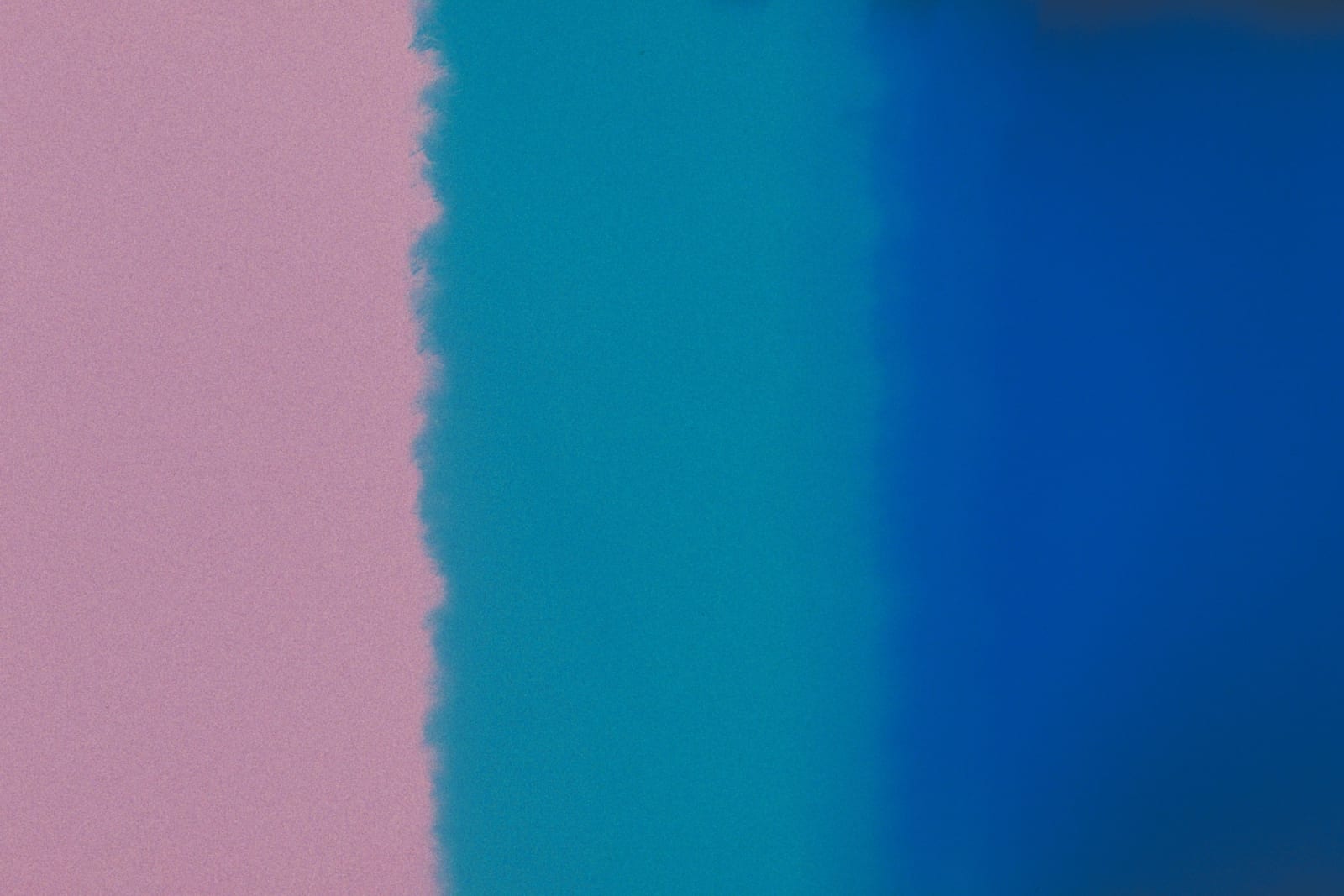 André Penteado, Arquivo nº 265 , 2021