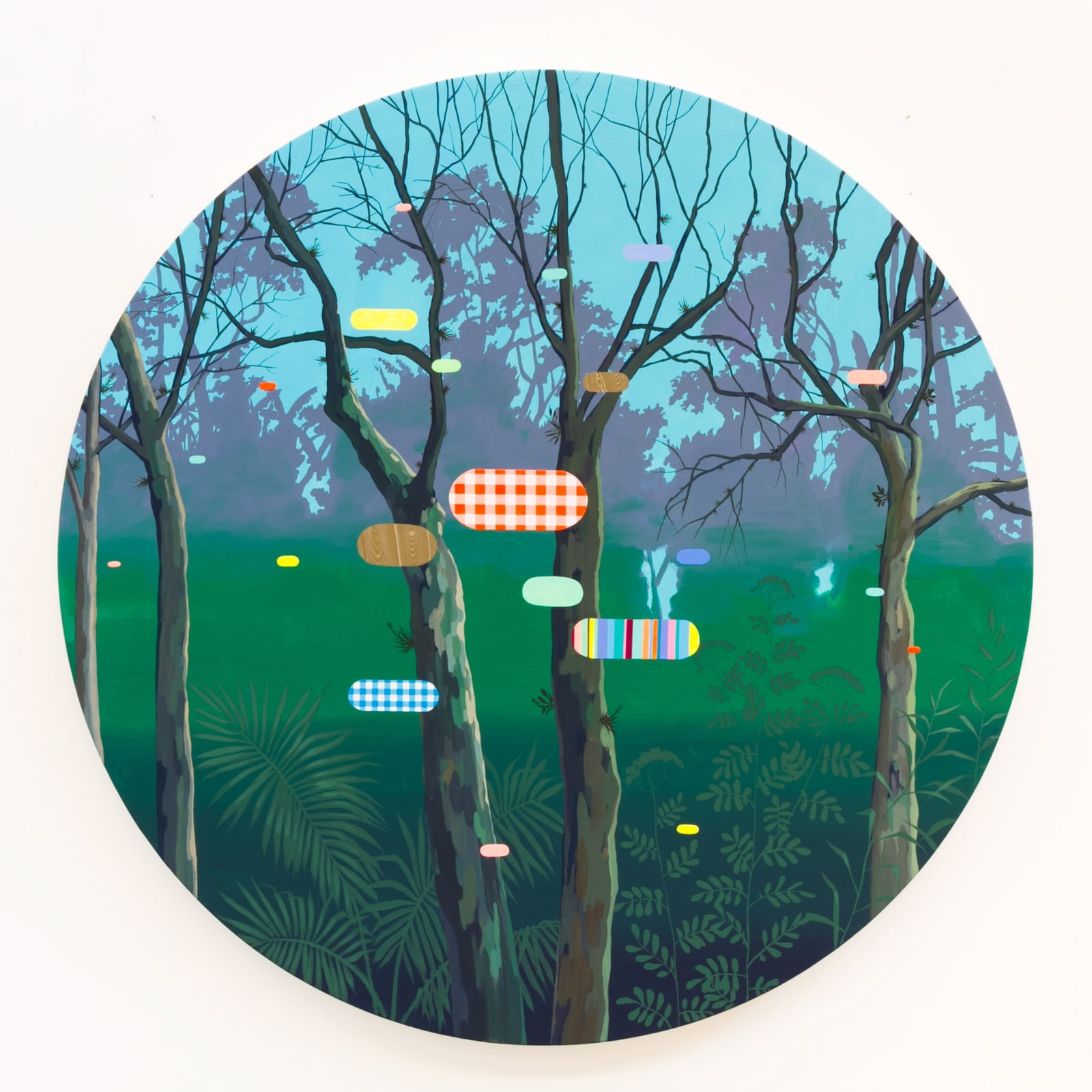 James Kudo, Sem título, 2013