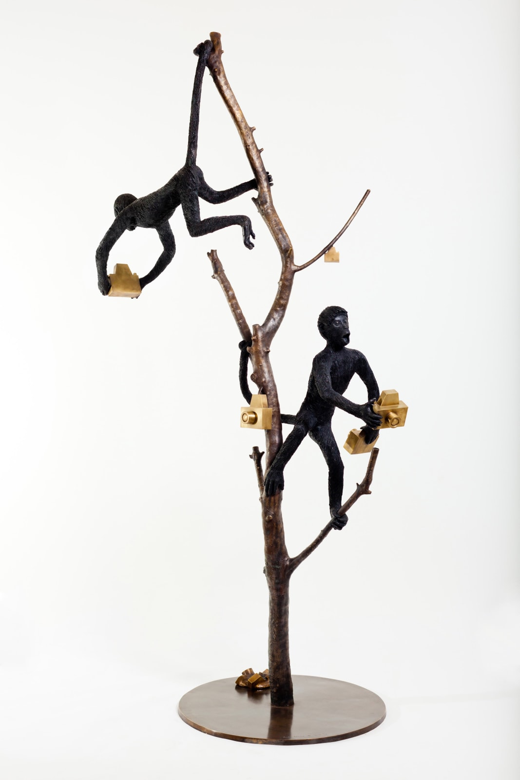 Jardineiro André Feliciano, Árvore com macacos fotográficos, 2012