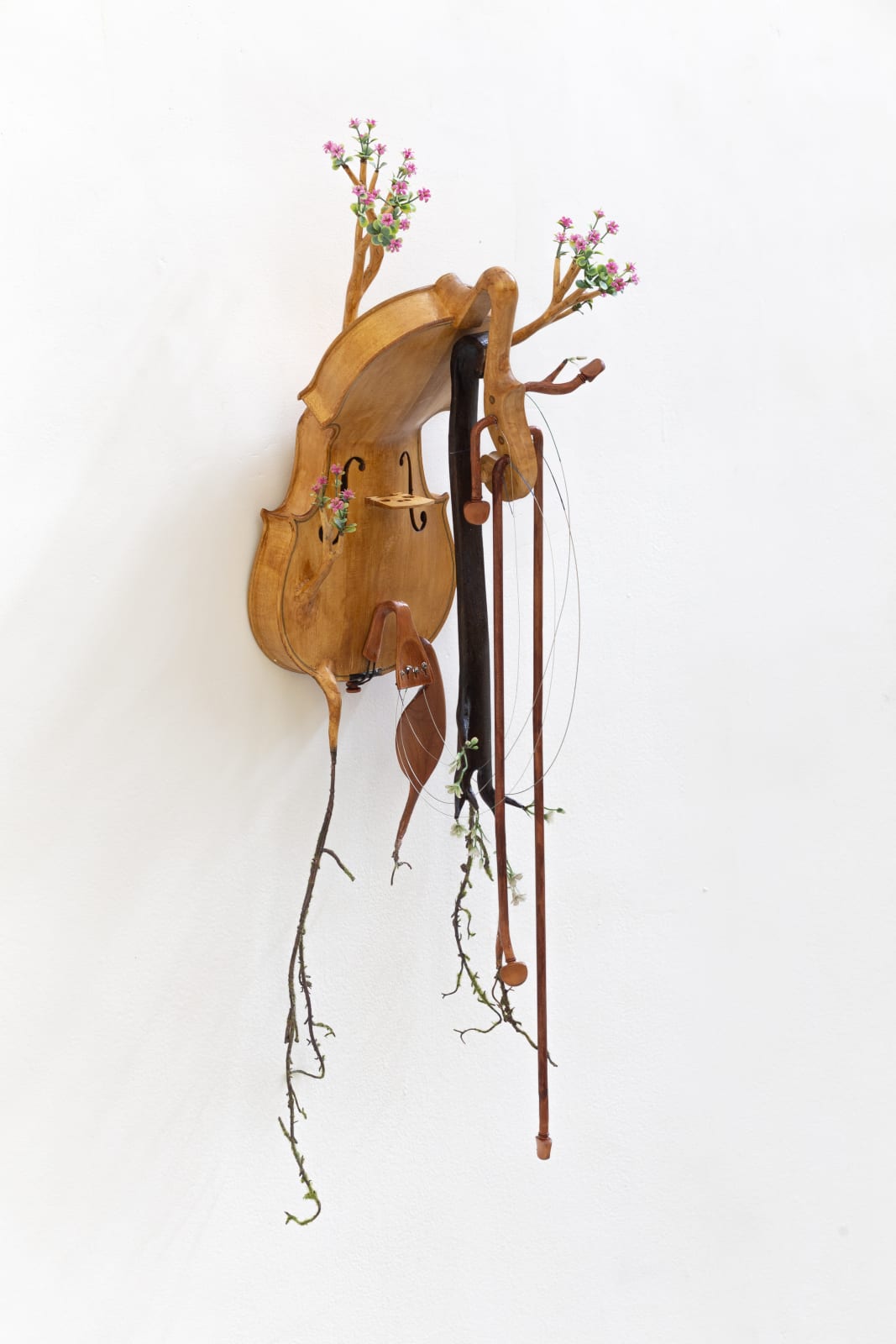 Camille Kachani, Violino selvático, 2023
