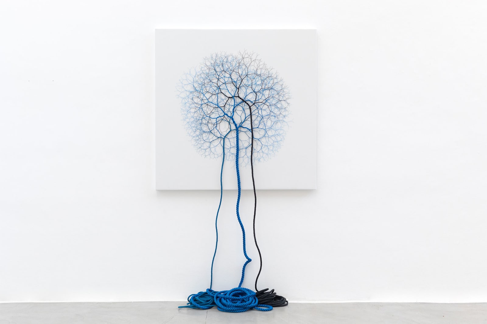 Janaina Mello Landini, Ciclotrama 402 (expansão), 2025