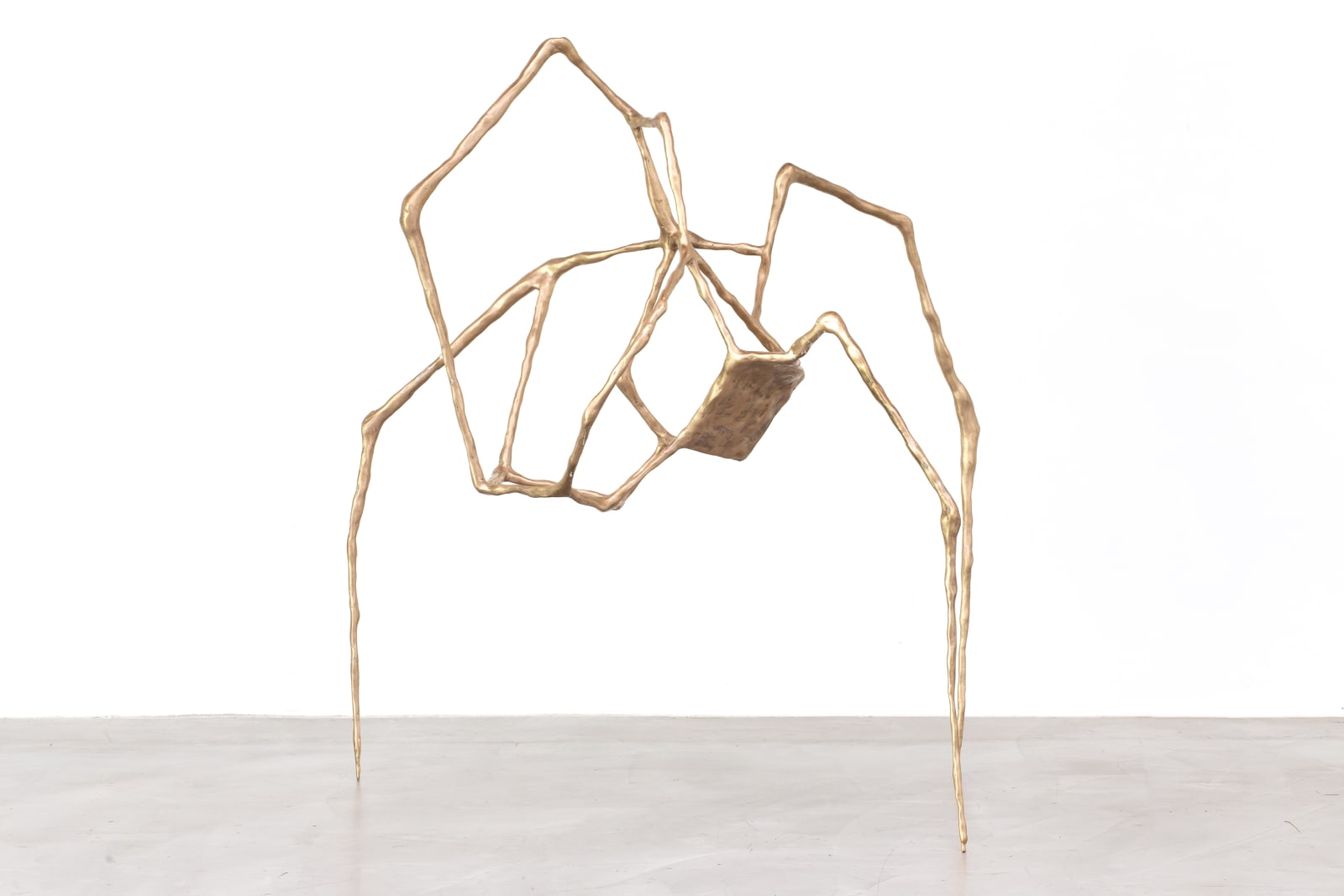 Consuelo Veszaro, Sem título , 2024