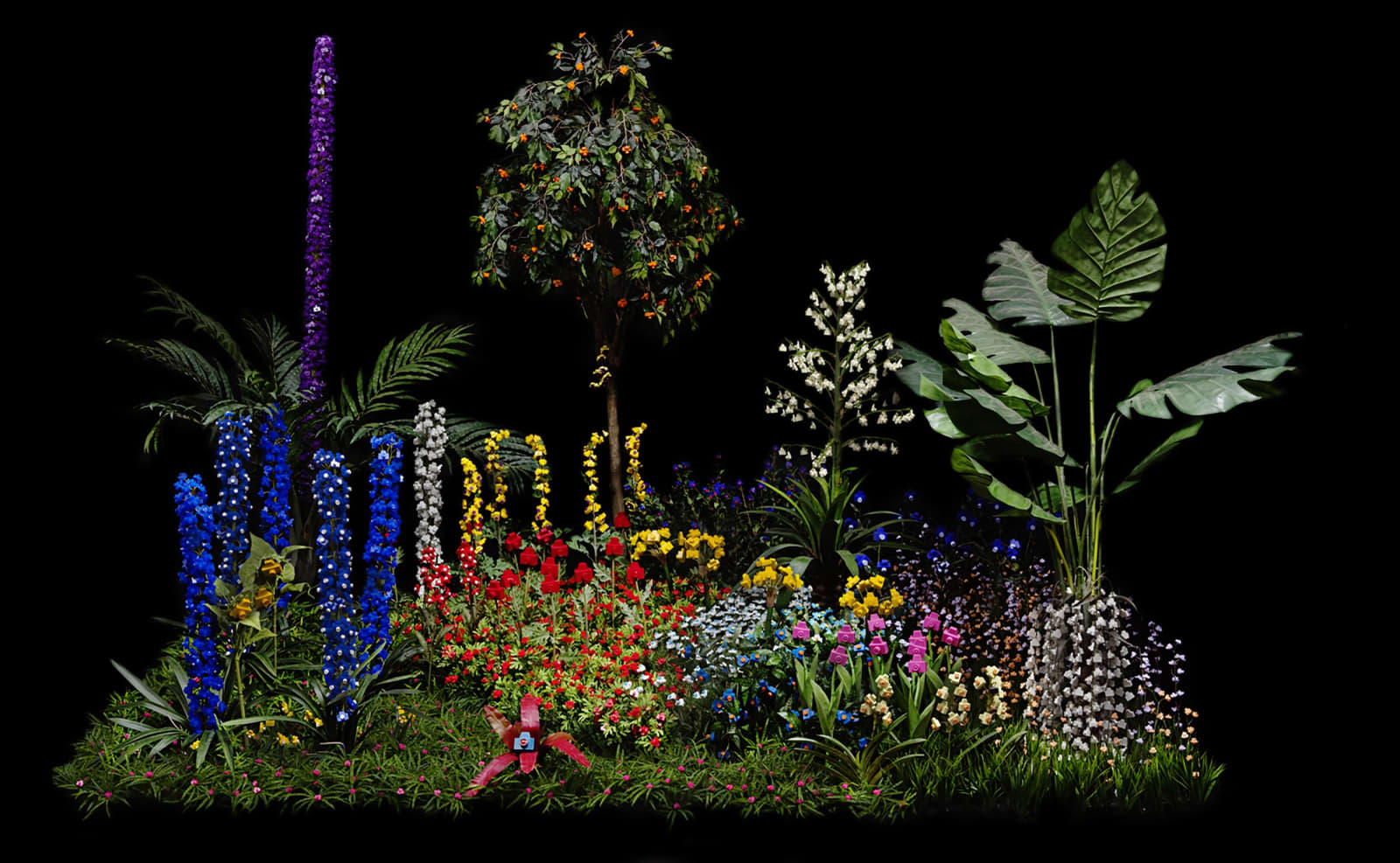 Jardineiro André Feliciano, Frutos do Jardim da Exposição Ecológica - MAM-SP 1, 2010