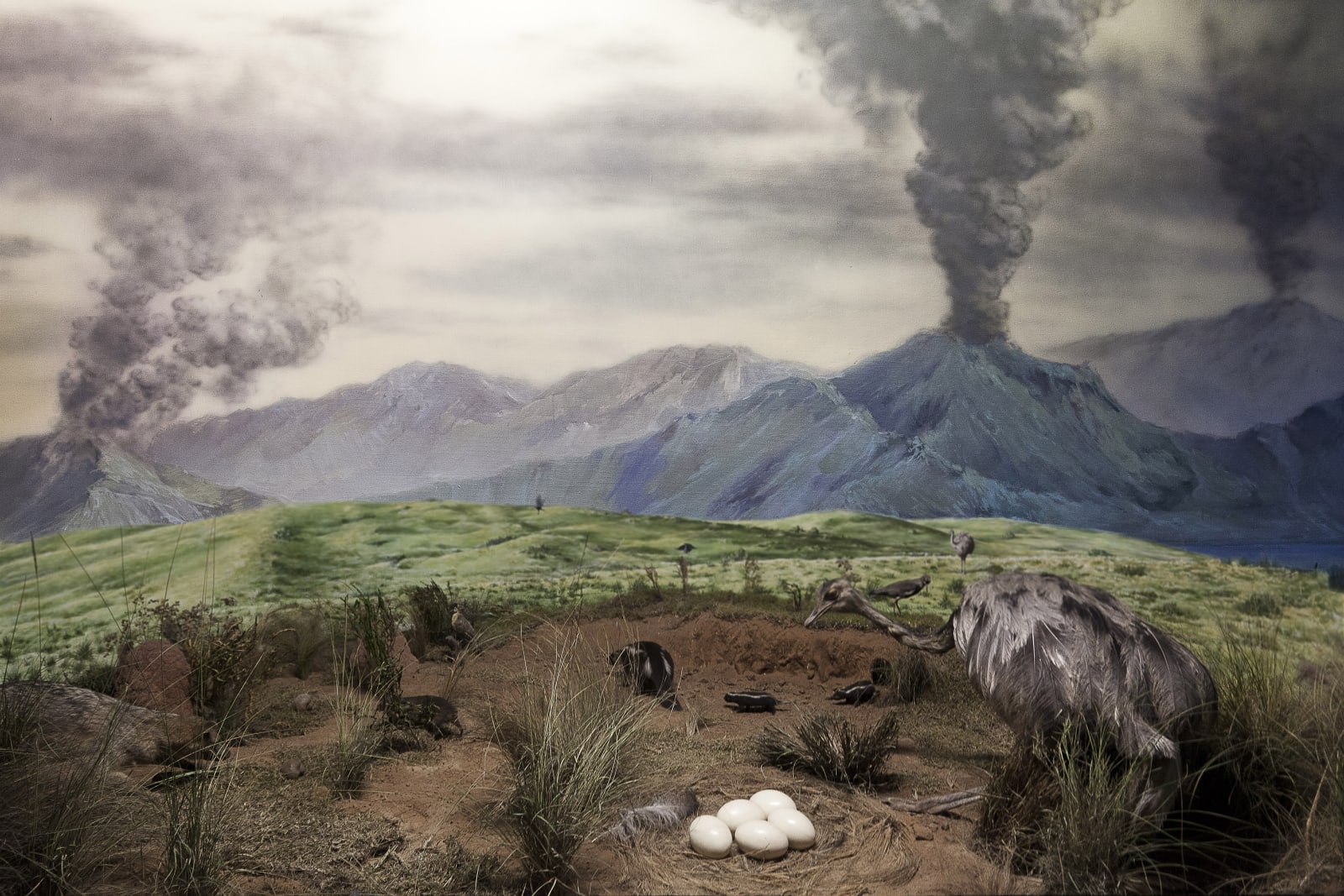 Romy Pocztaruk, Aparatos naturais III, 2013
