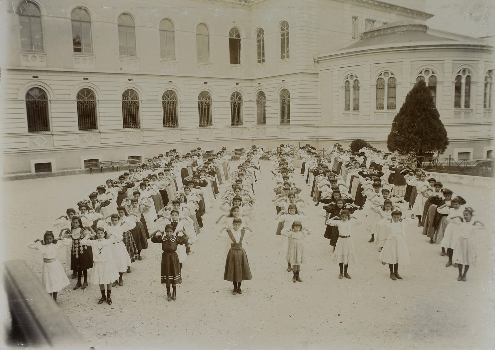 Marcelo Amorim, Escola Normal, 2014