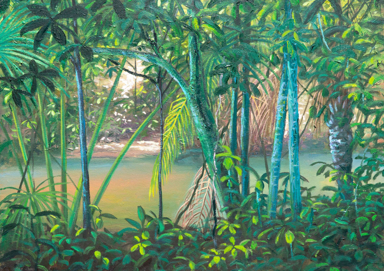 Miguel Penha Chiquitano, Córrego canjira, 2024