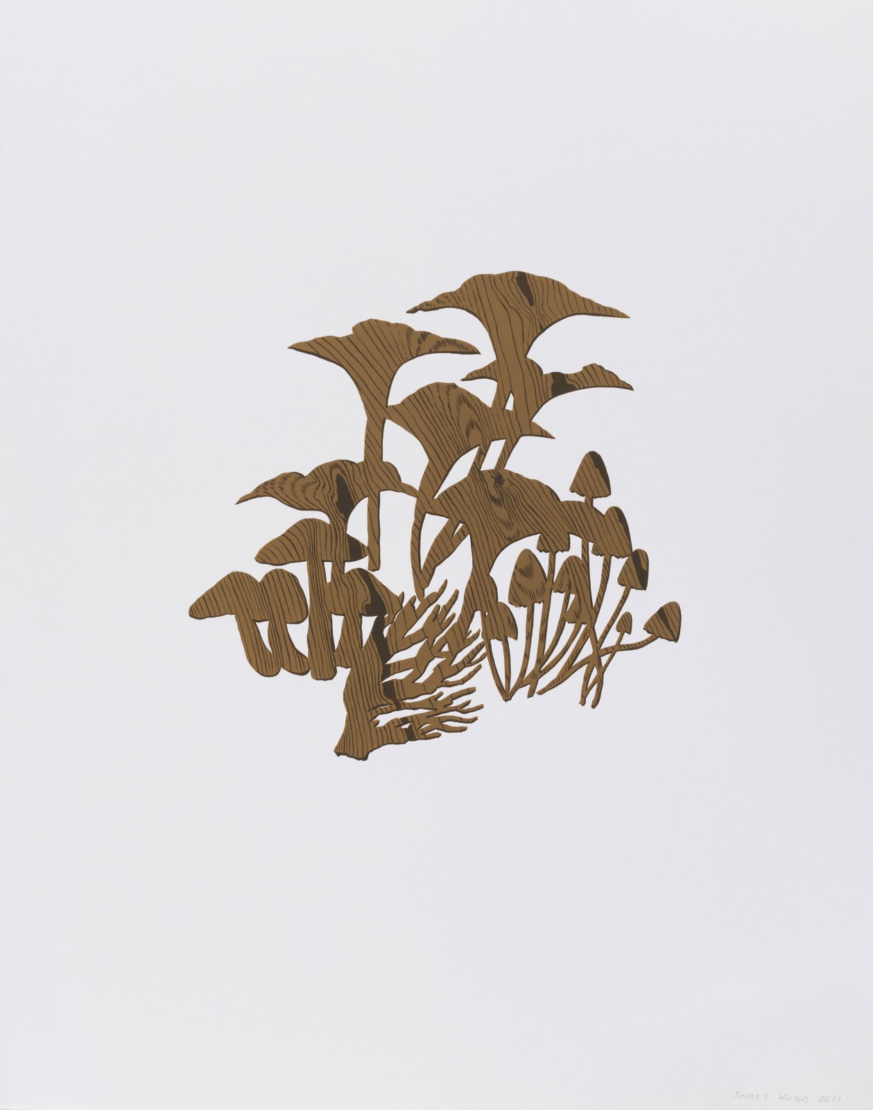 James Kudo, Sem título, 2011