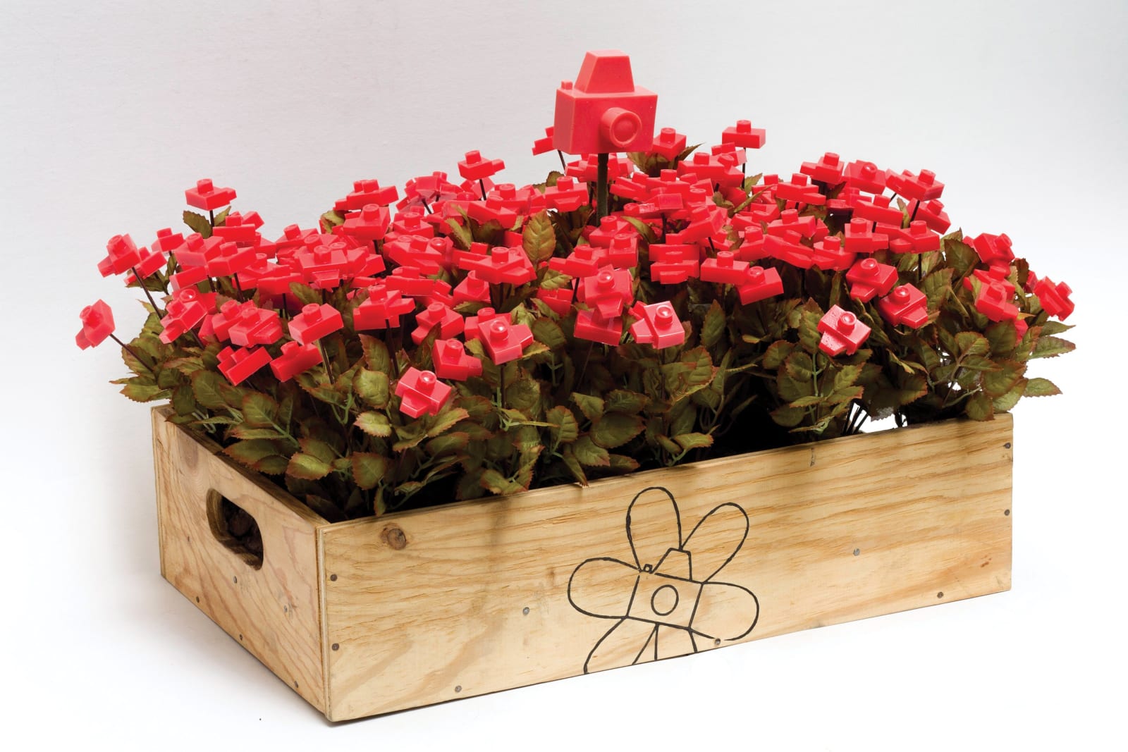 Jardineiro André Feliciano, Caixa de flores fotográficas para a Zipper, 2012