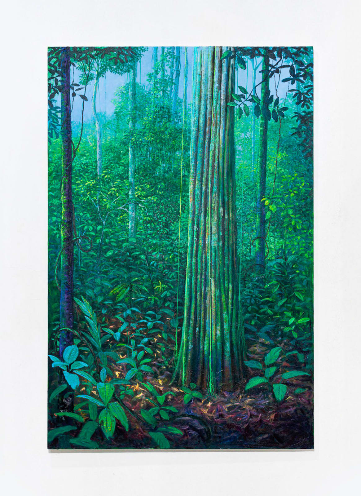 Miguel Penha Chiquitano, Caranapanaúba, 2025