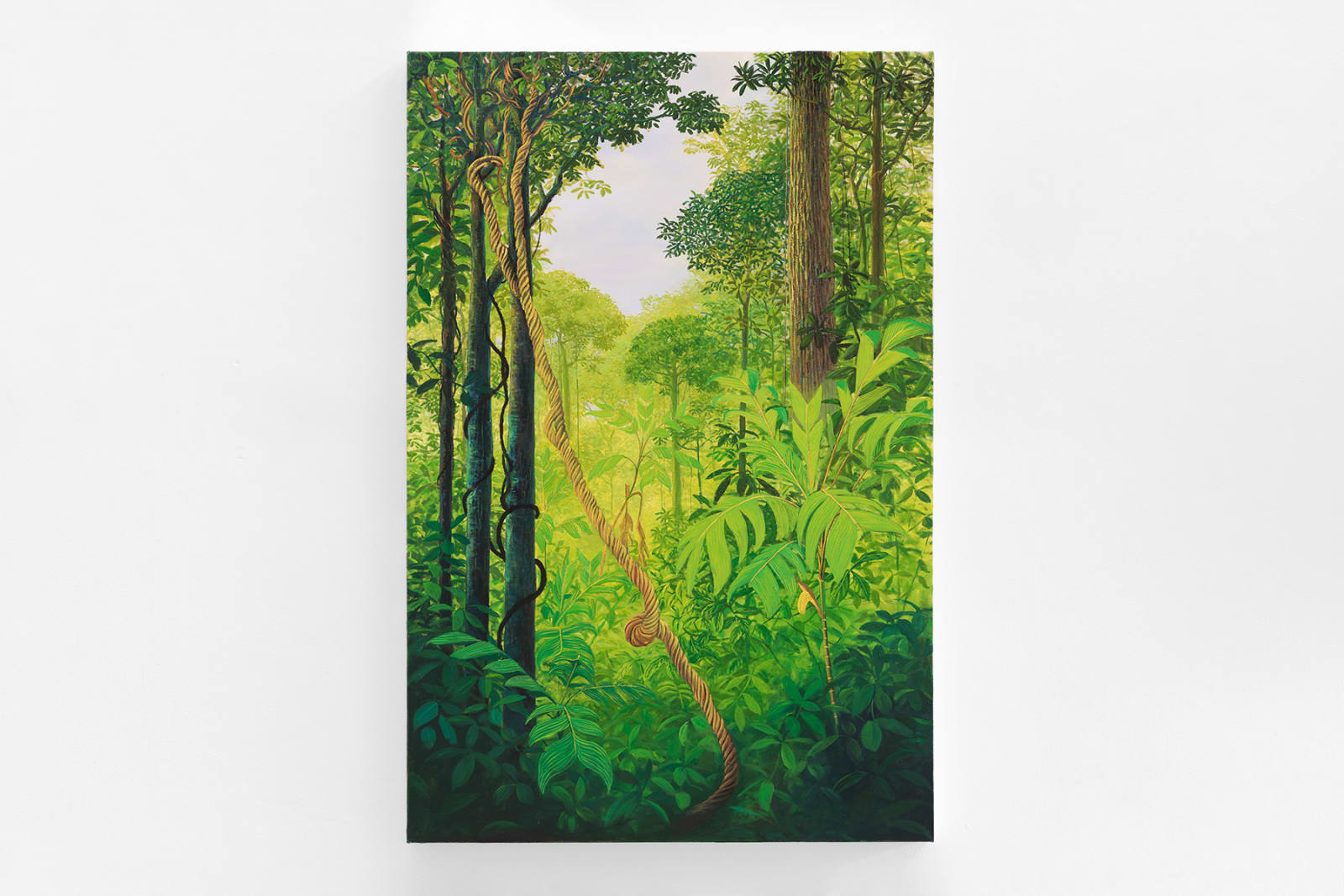 Miguel Penha Chiquitano, Cipó Mariri, 2013