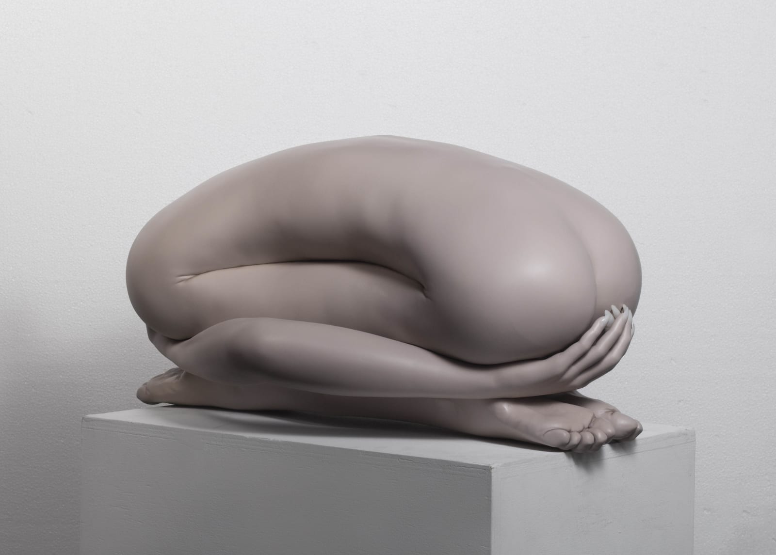 Monica Piloni, Lee, 2019