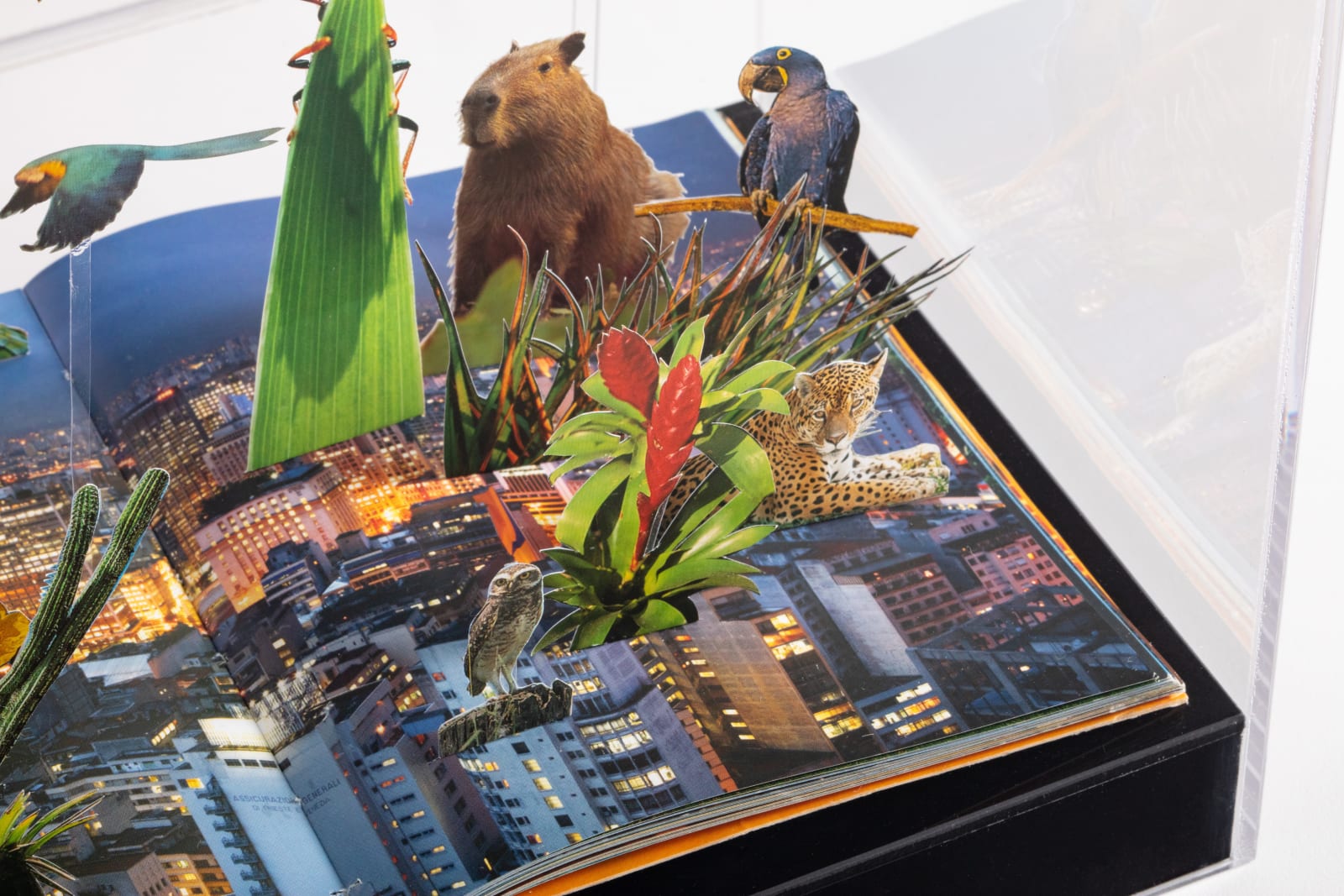 Daniel Escobar, Cidade de São Paulo (Parque Nacional), 2020