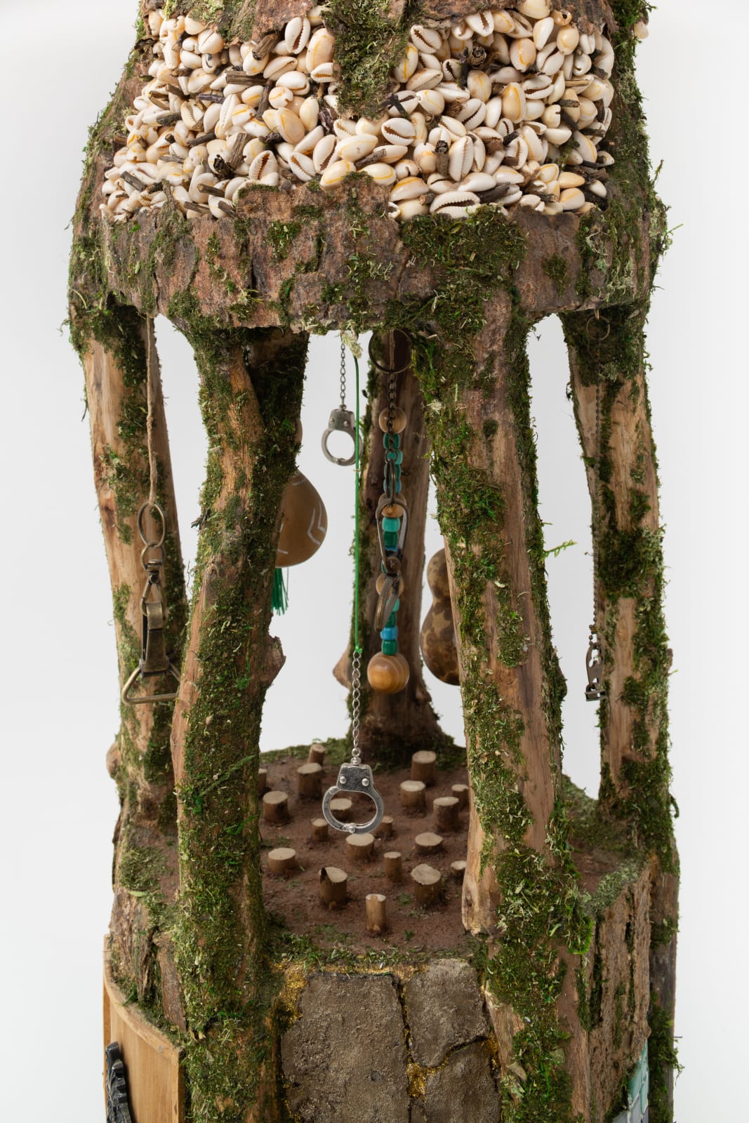 Camille Kachani, Pau-Brasil, 2024