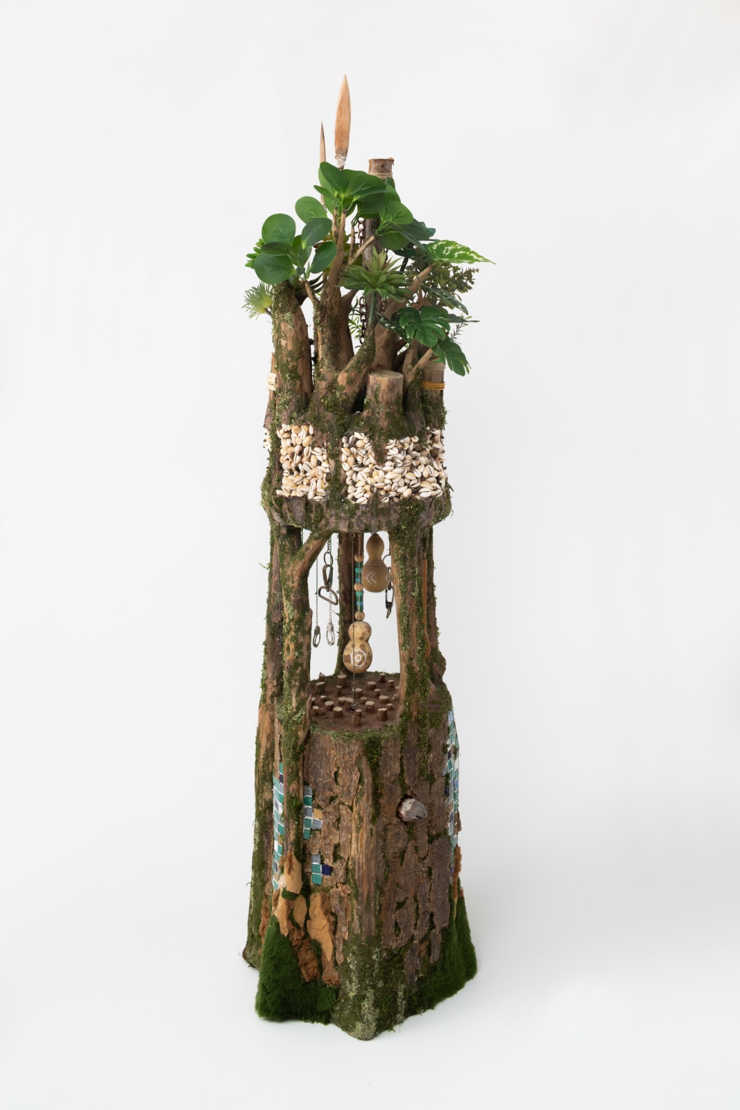 Camille Kachani, Pau-Brasil, 2024