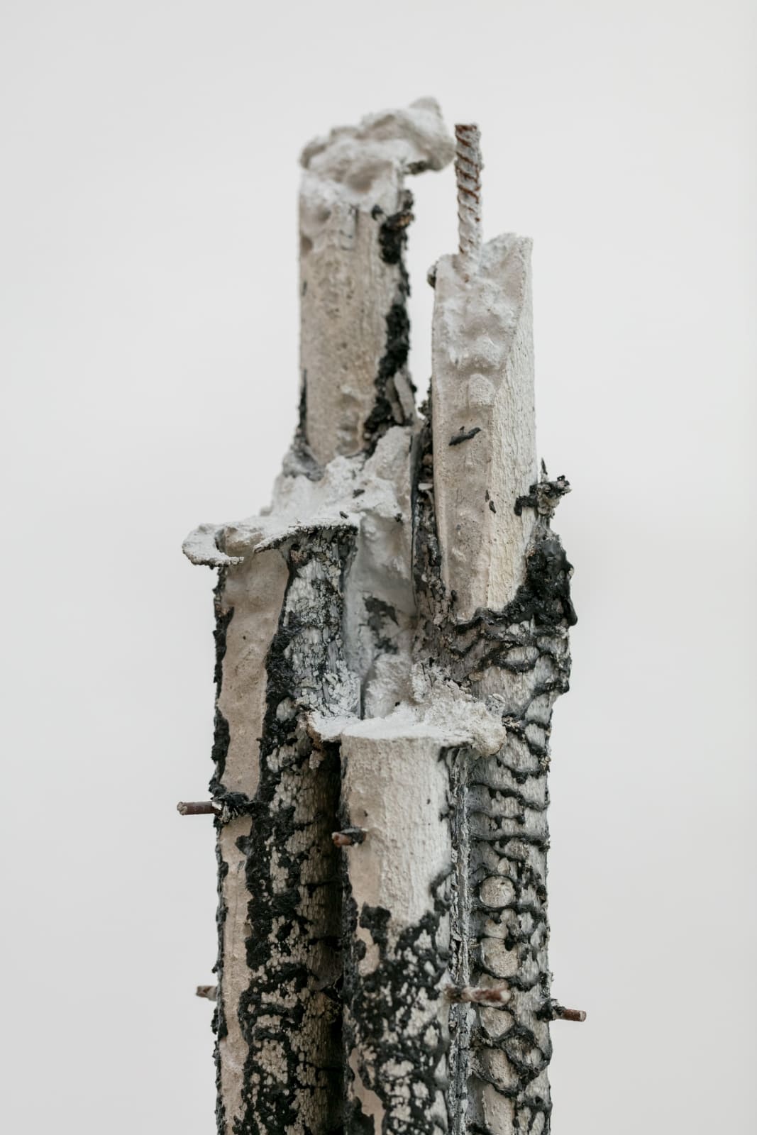 Felipe Seixas, Sem título, 2019