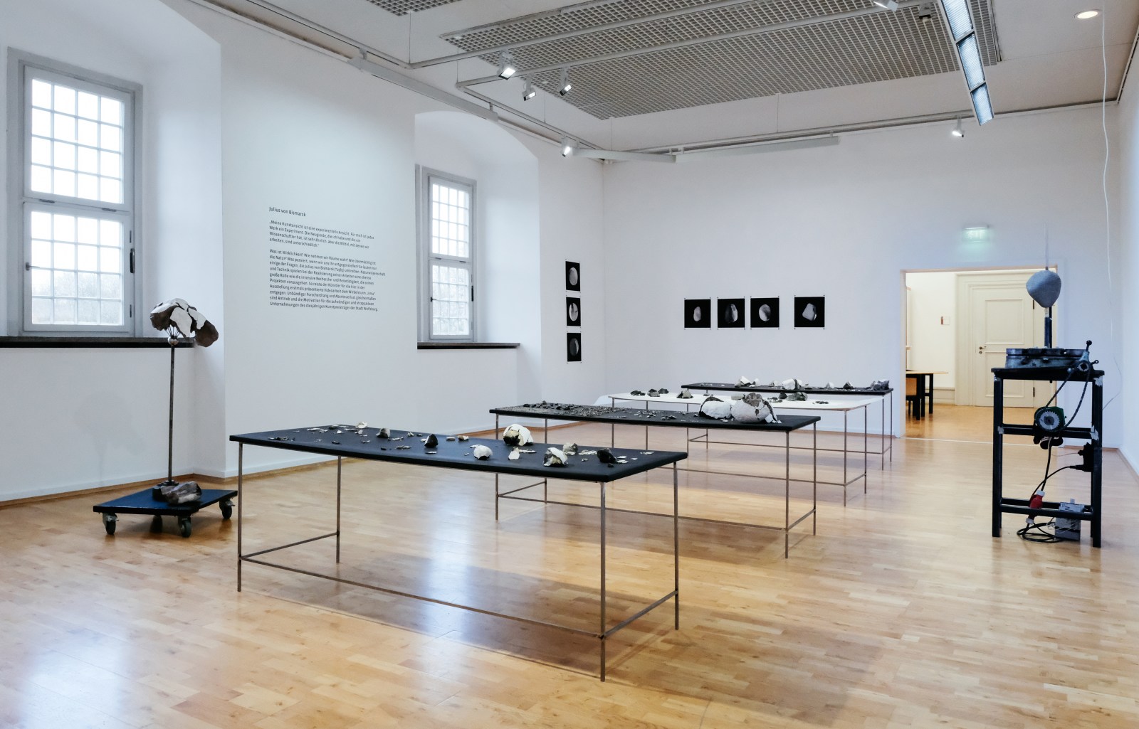 <div class="image_caption_container"><div class="image_caption"><p>Exhibition view: Julius von Bismarck, <strong>Gewaltenteilung</strong>, Städtische Galerie Wolfsburg (2017).</p><p>Photo © Janina Snatzke</p></div></div>