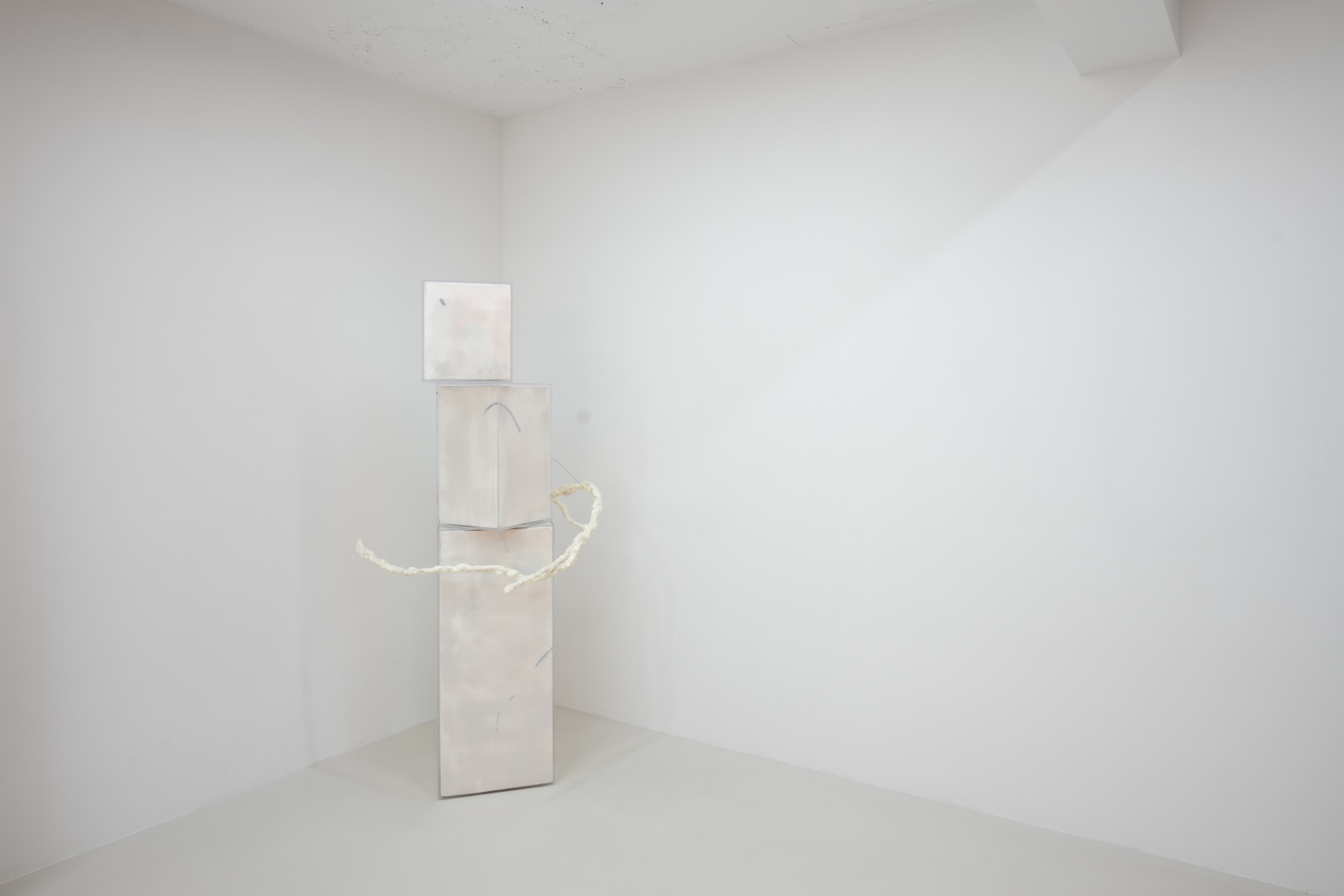 <div class="image_caption_container"><div class="image_caption"><p>Exhibition view: 불타는 집/House on Fire, Esther Schipper, Seoul, 2024. Photo © Hyun Jun Lee</p></div></div>