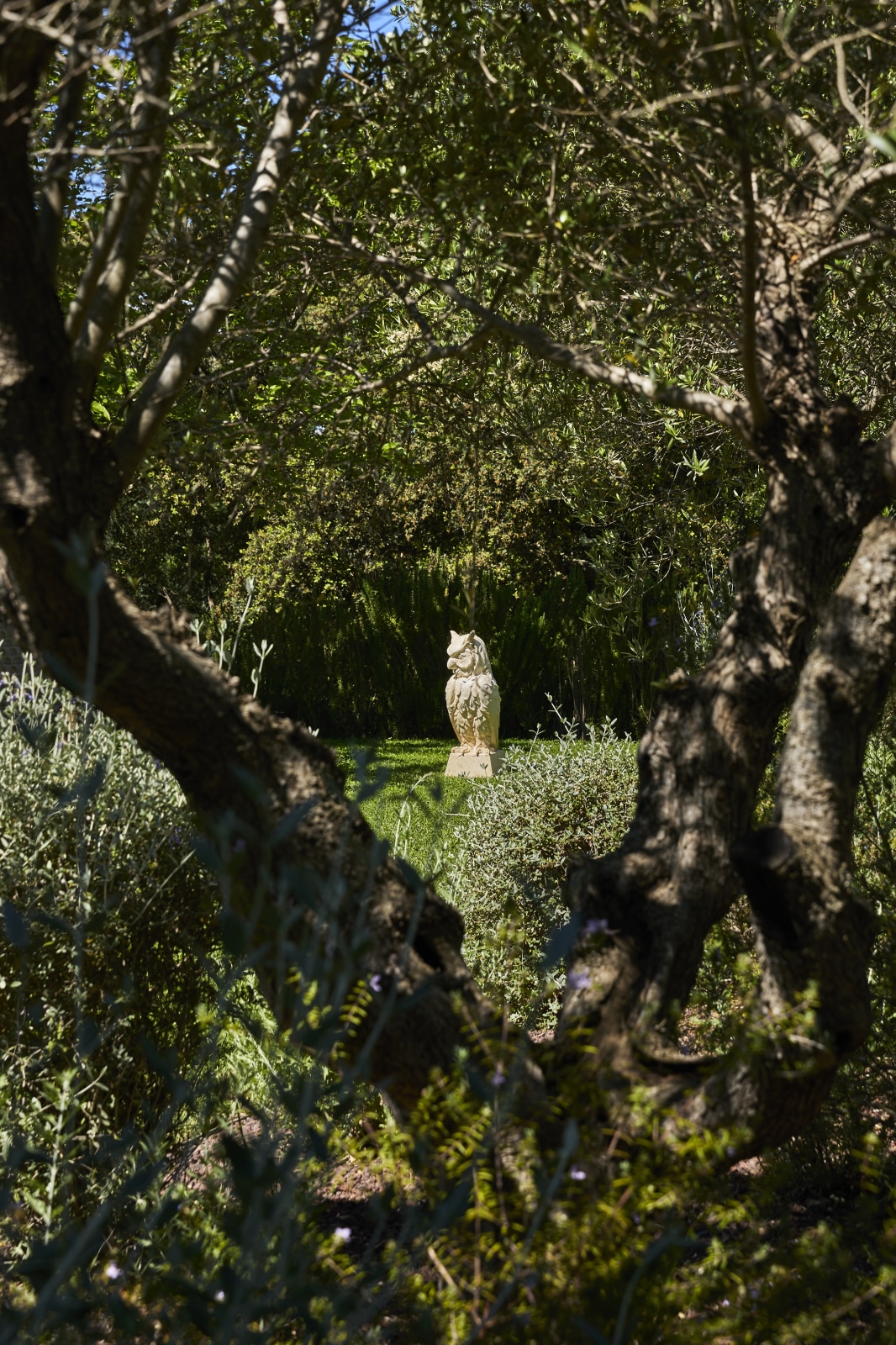 <div class="image_caption_container"><div class="image_caption"><p>Exhibition view: Esther Schipper x Domaine du Muy, 2024<br />Photo © Jean-Christophe Lett</p></div></div>