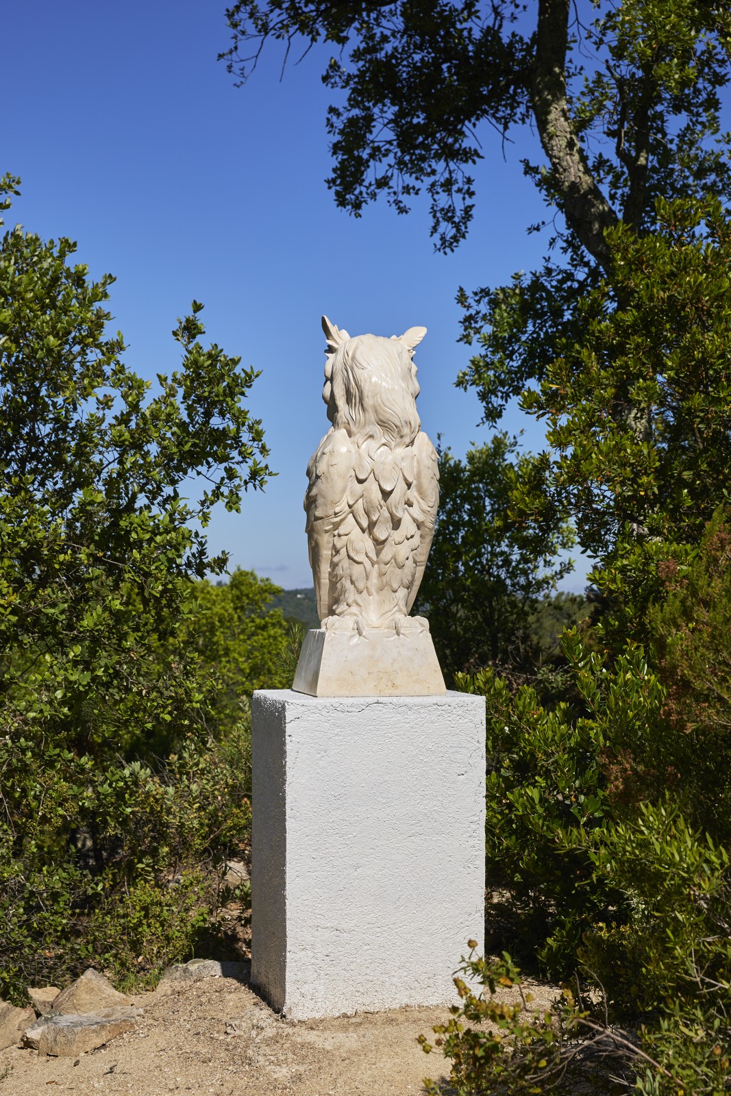<div class="image_caption_container"><div class="image_caption"><p>Exhibition view: Esther Schipper x Domaine du Muy, 2024<br />Photo © Jean-Christophe Lett</p></div></div>