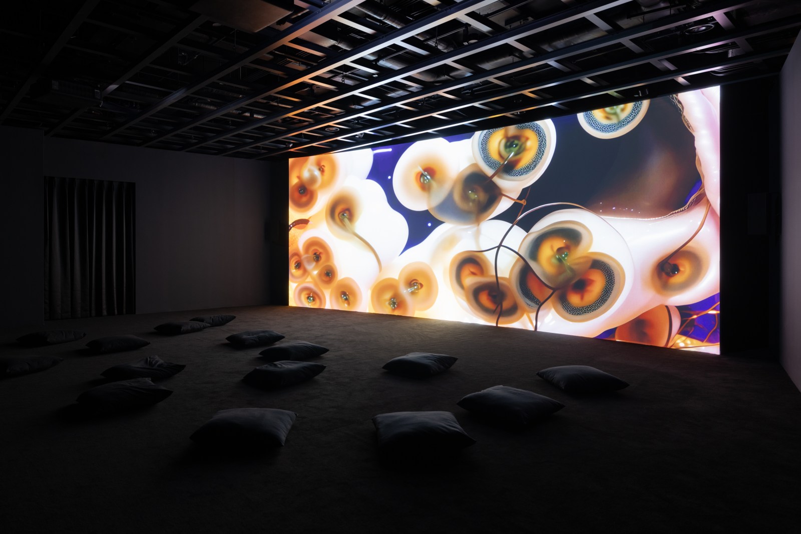 <div class="image_caption_container"><div class="image_caption"><p>Exhibition view: Anicka Yi, <b>There Exists Another Evolution but in This One, </b>Leeum Museum of Art, Seoul, 2024. Photo: © Andrea Rossetti</p></div></div>