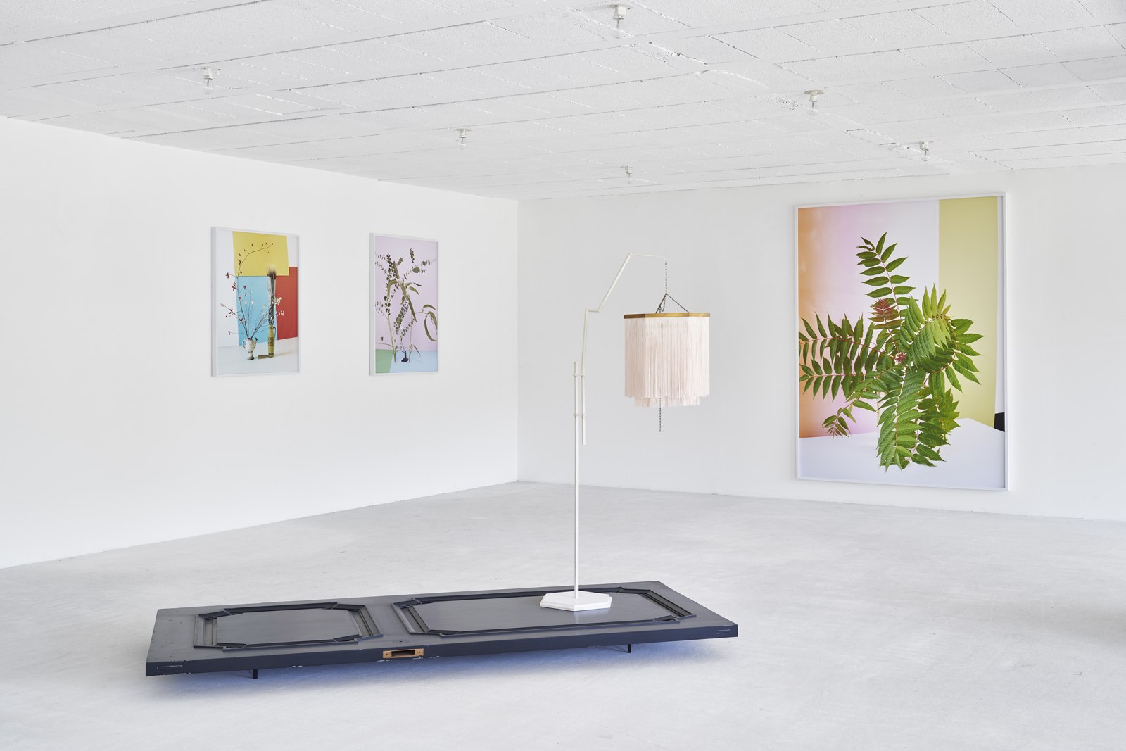<div class="image_caption_container"><div class="image_caption"><p>Exhibition view: Esther Schipper x Domaine du Muy, 2024<br />Photo © Jean-Christophe Lett</p></div></div>