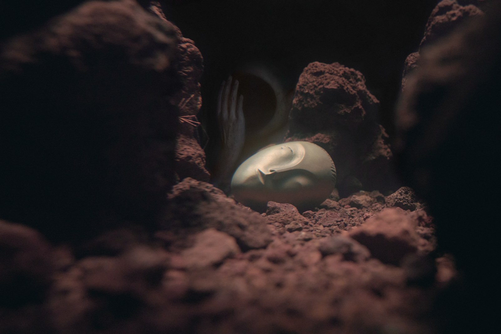 Liminal Pierre Huyghe