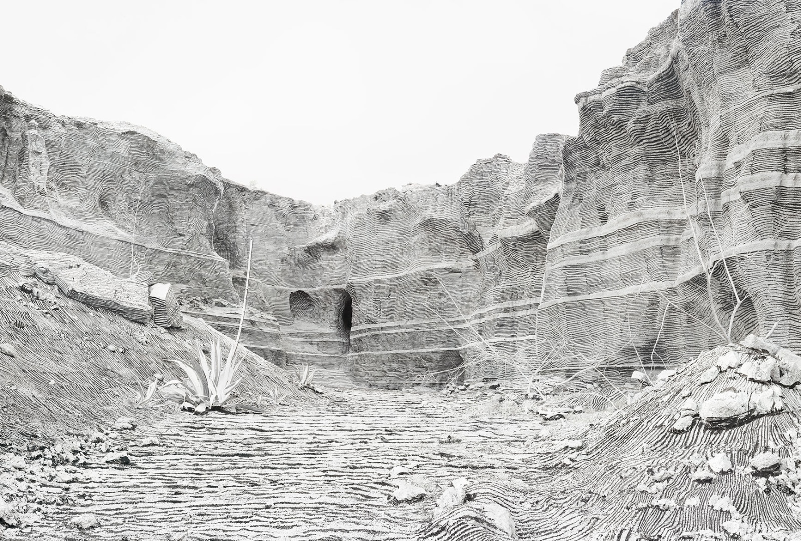 The Orobie Biennial – Thinking Like a Mountain With Julius von Bismarck