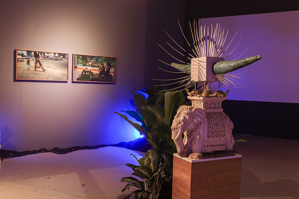 Empty Forest Tuan Andrew Nguyen