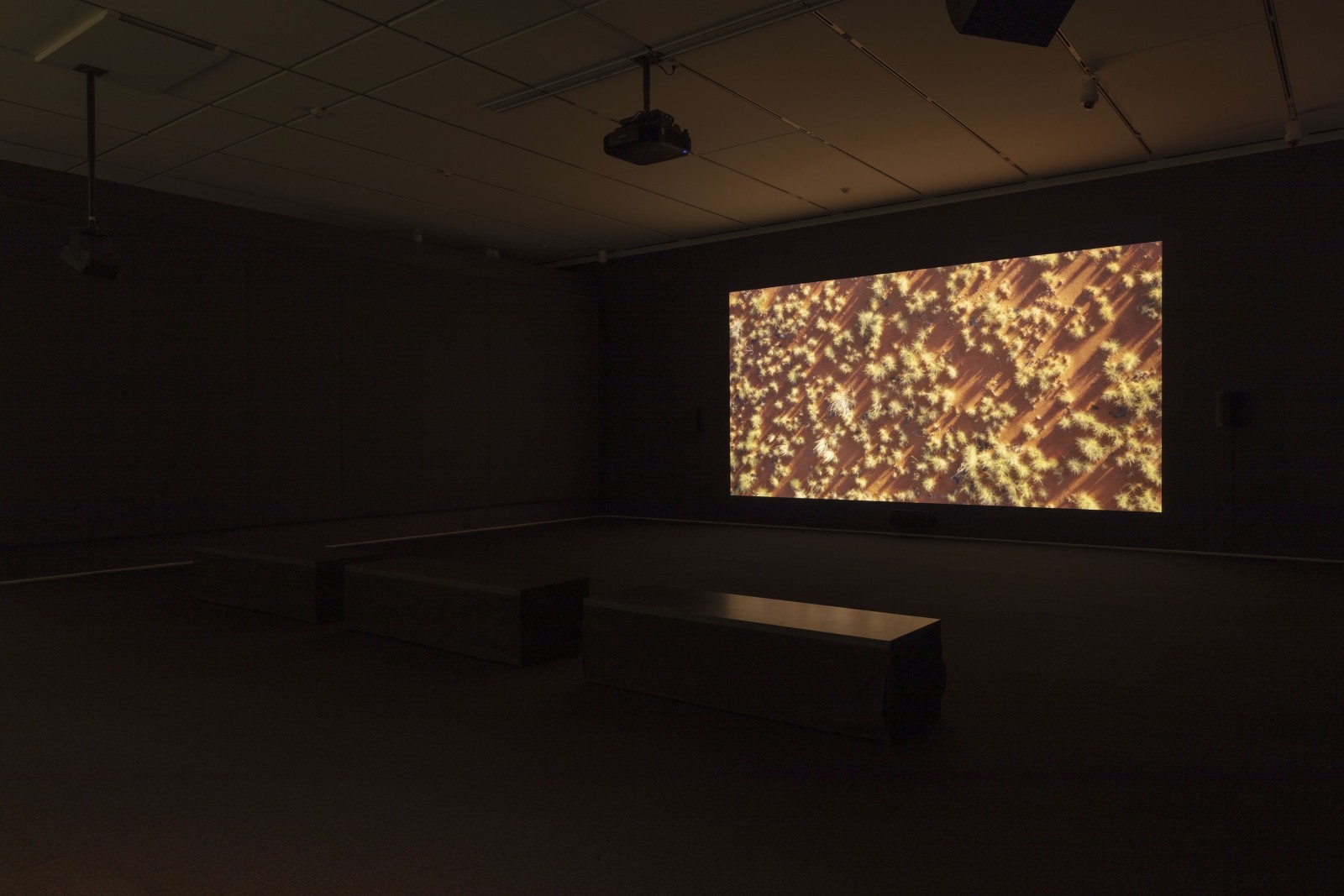 We Were Lost in Our Country Tuan Andrew Nguyen