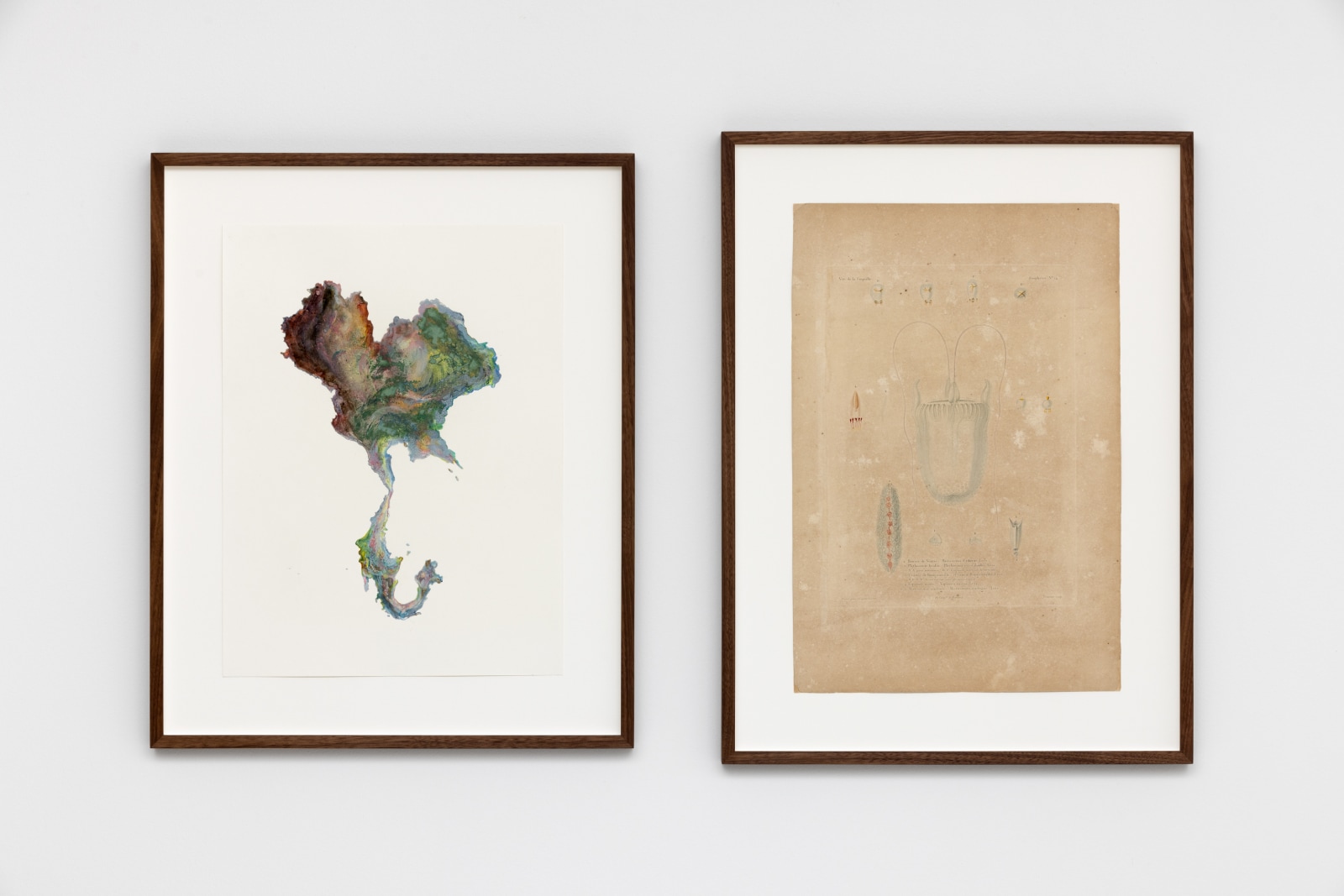 WoW! Works of Wonder With Anri Sala