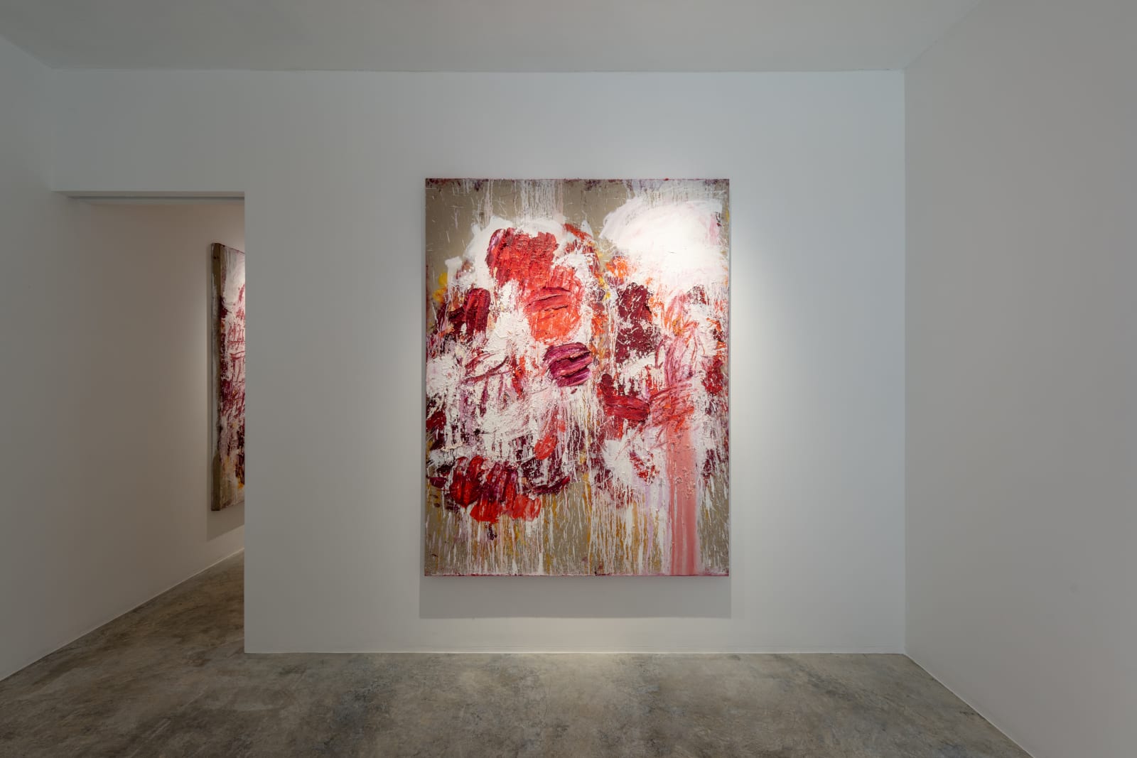 Aida Tomescu Into a carpet made of water
