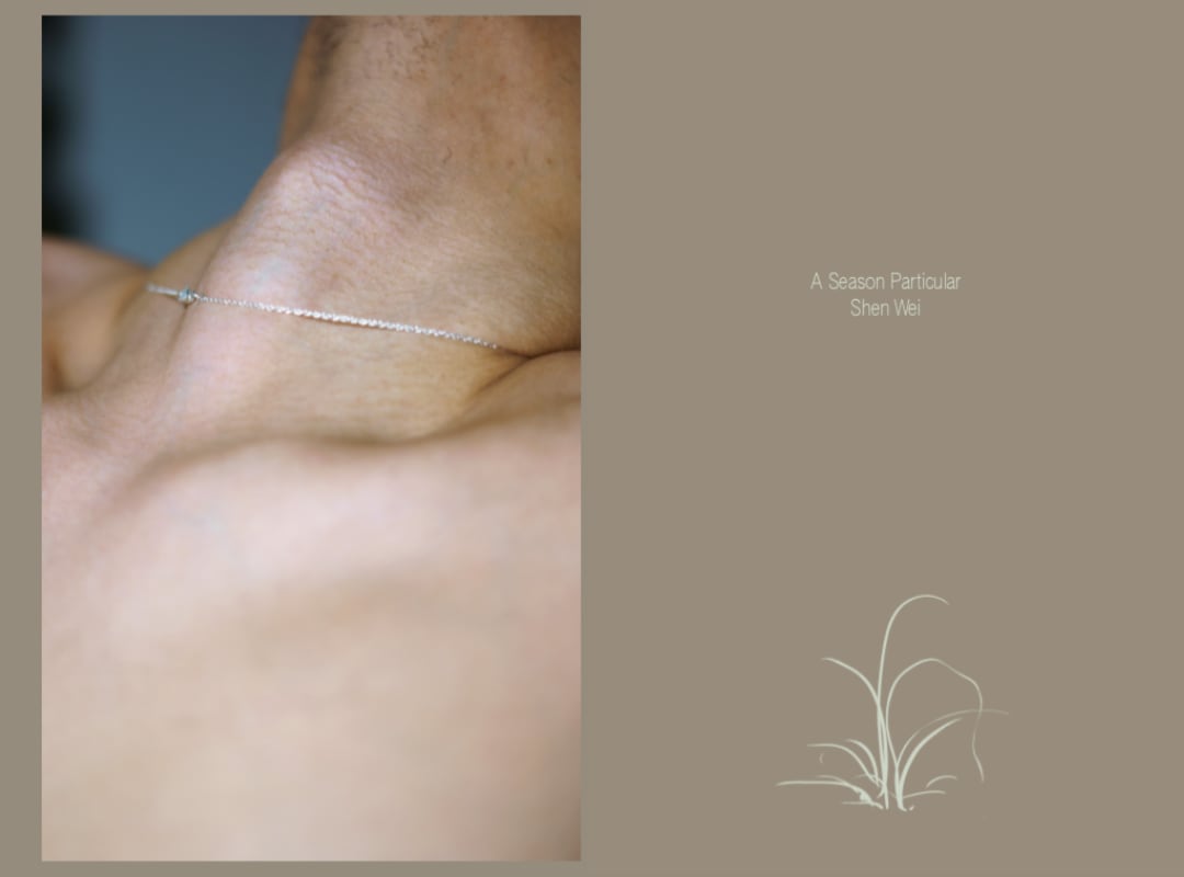 Shen Wei Book signing at Paris Photo