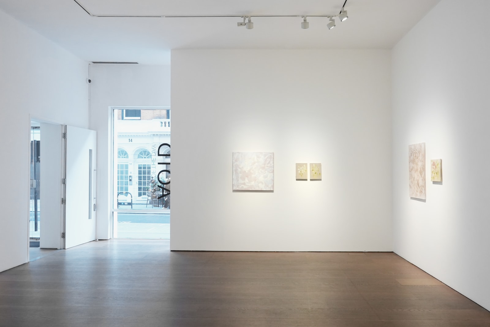 Bianca Raffaella Artist of the Day 2024