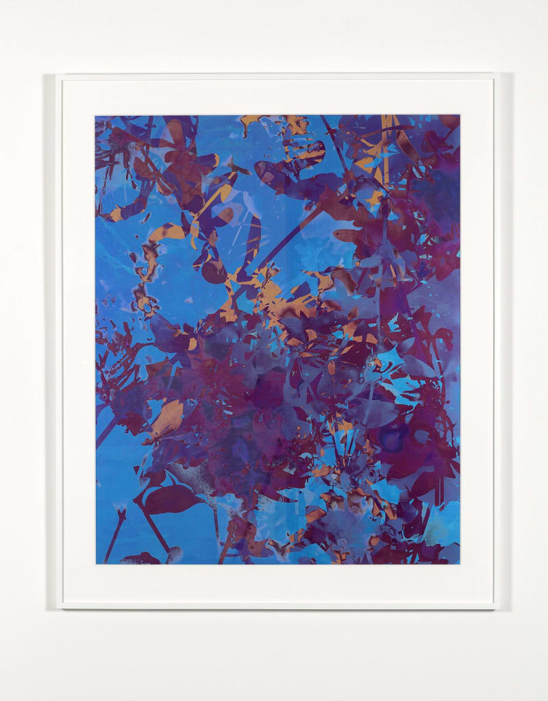 A photograph of a reflective surface of water and leaves.