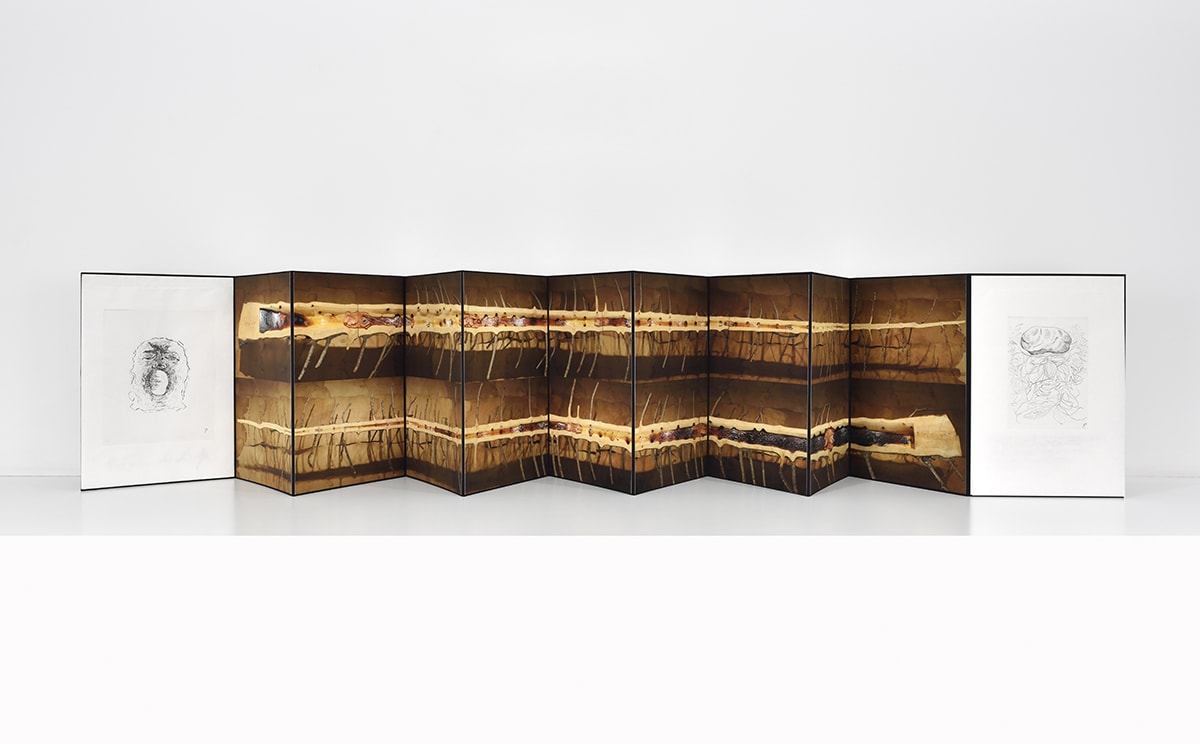 Accordion book stretched open. The far left is a print of a face yawning, the middle portrays to lines of wood against hide, and the far right ends with a circular line drawing.