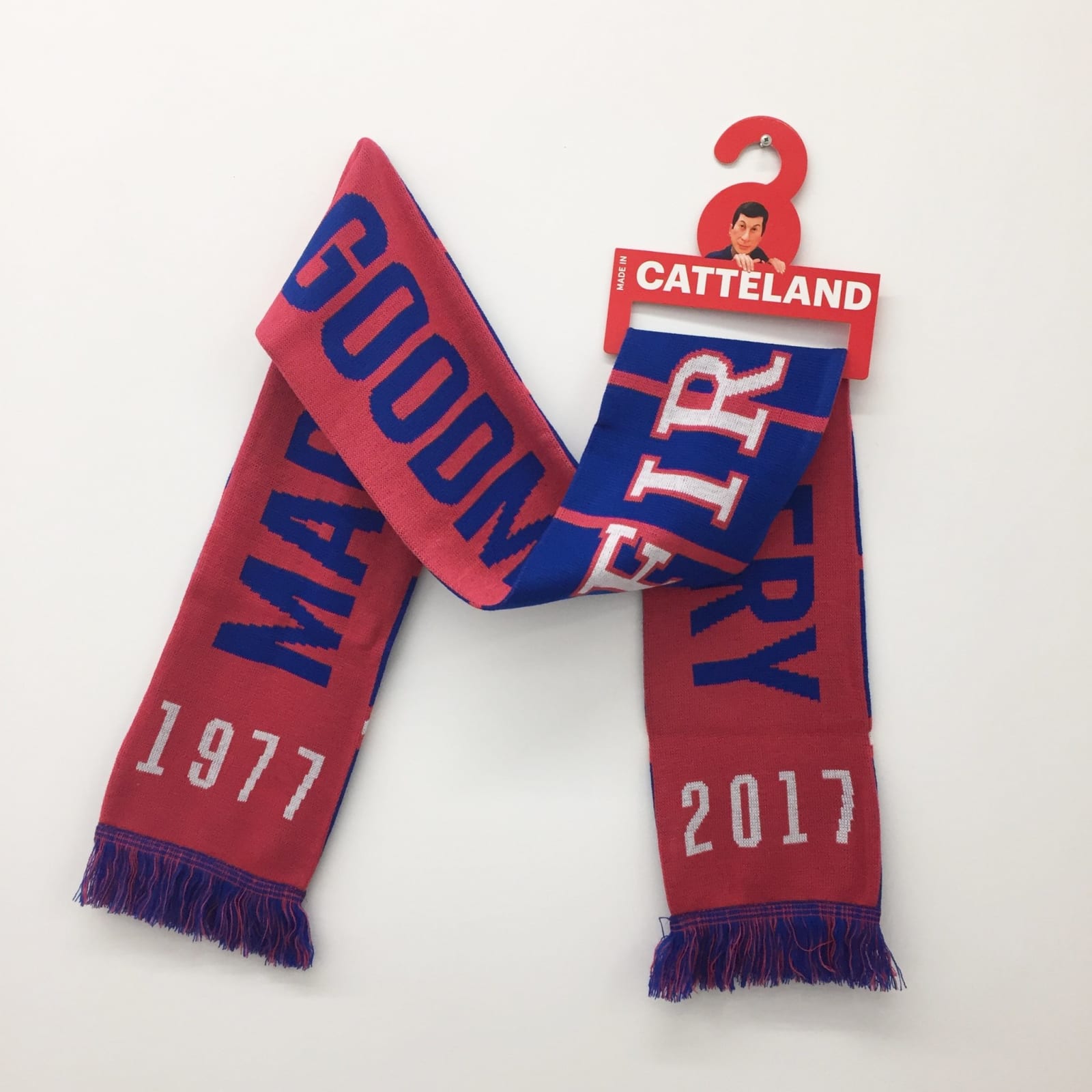 Catteland scarf depicting text 1977 Marian Goodman 2017, displayed on wall.