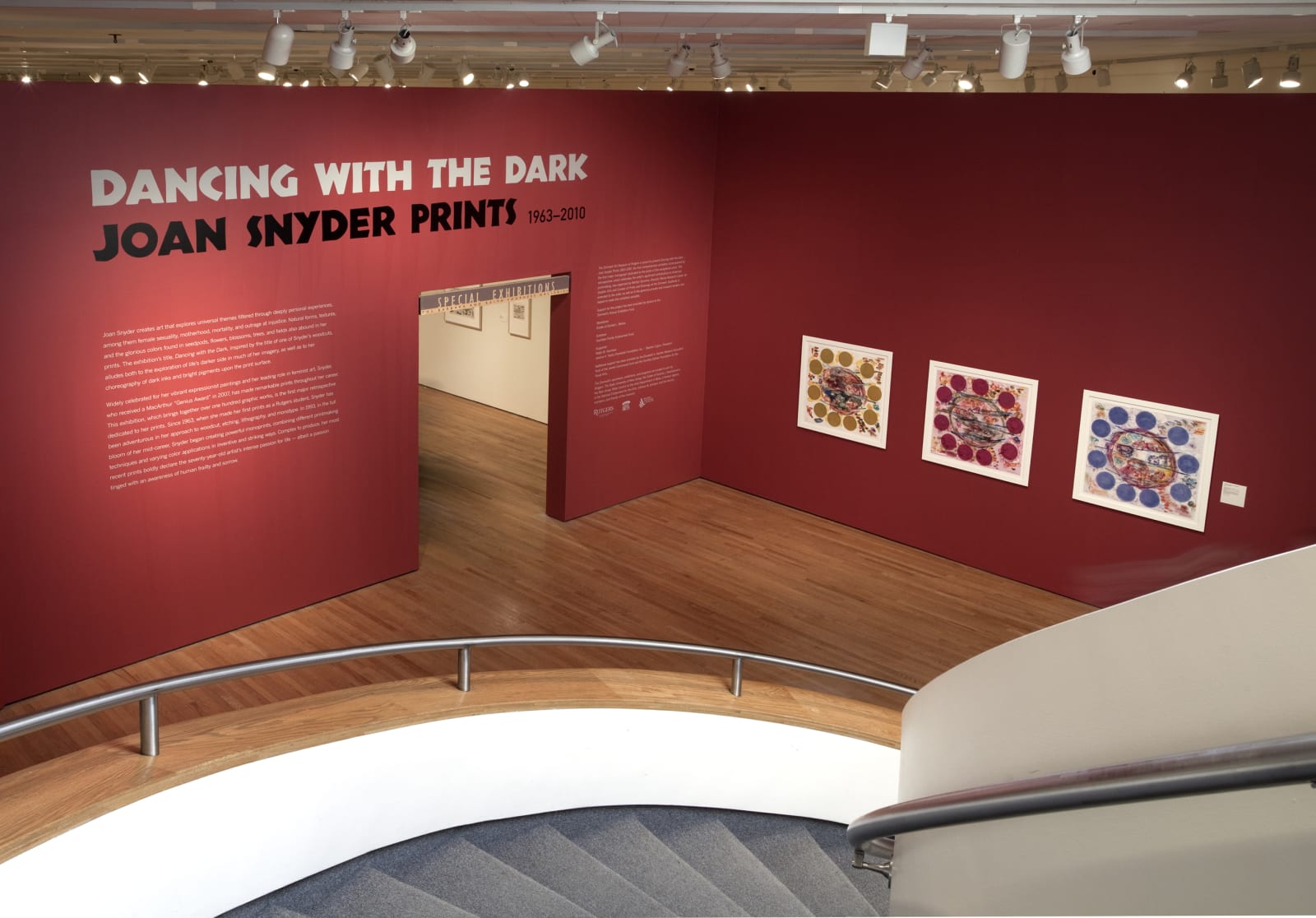 <a href="/content/feature/5557/detail/image46986/" class="pageload-link-type-popup-enabled-content"><p><strong>Joan Snyder</strong>, Dancing with the Dark, 2011<br />Installation view, Zimmerli Art Museum, Rutgers University, New Jersey</p></a>