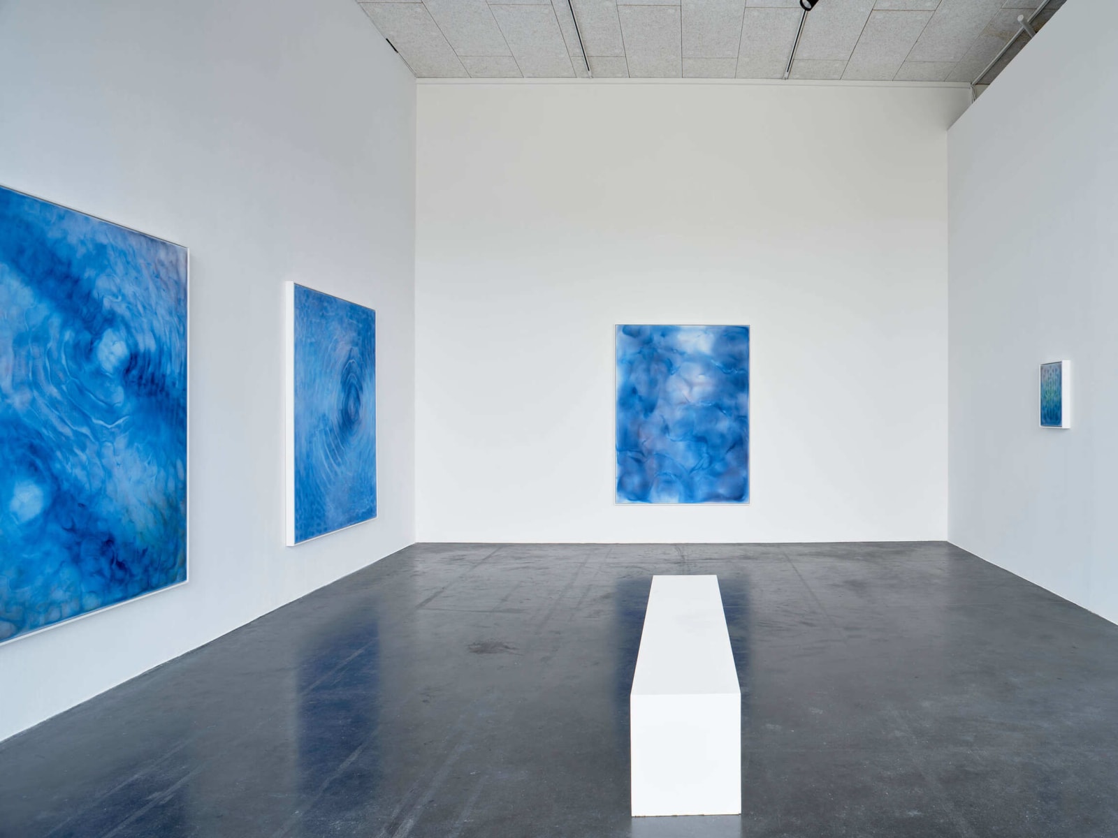 <a href="/content/feature/6505/detail/image50306/" class="pageload-link-type-popup-enabled-content"><p><span>Oliver Beer, </span><em>Resonance Paintings - Nymphéas</em><span>, Le Hangar 107 / Normandie Impressionniste, 2024. </span><span>© Juan Cruz Ibañez</span></p></a>