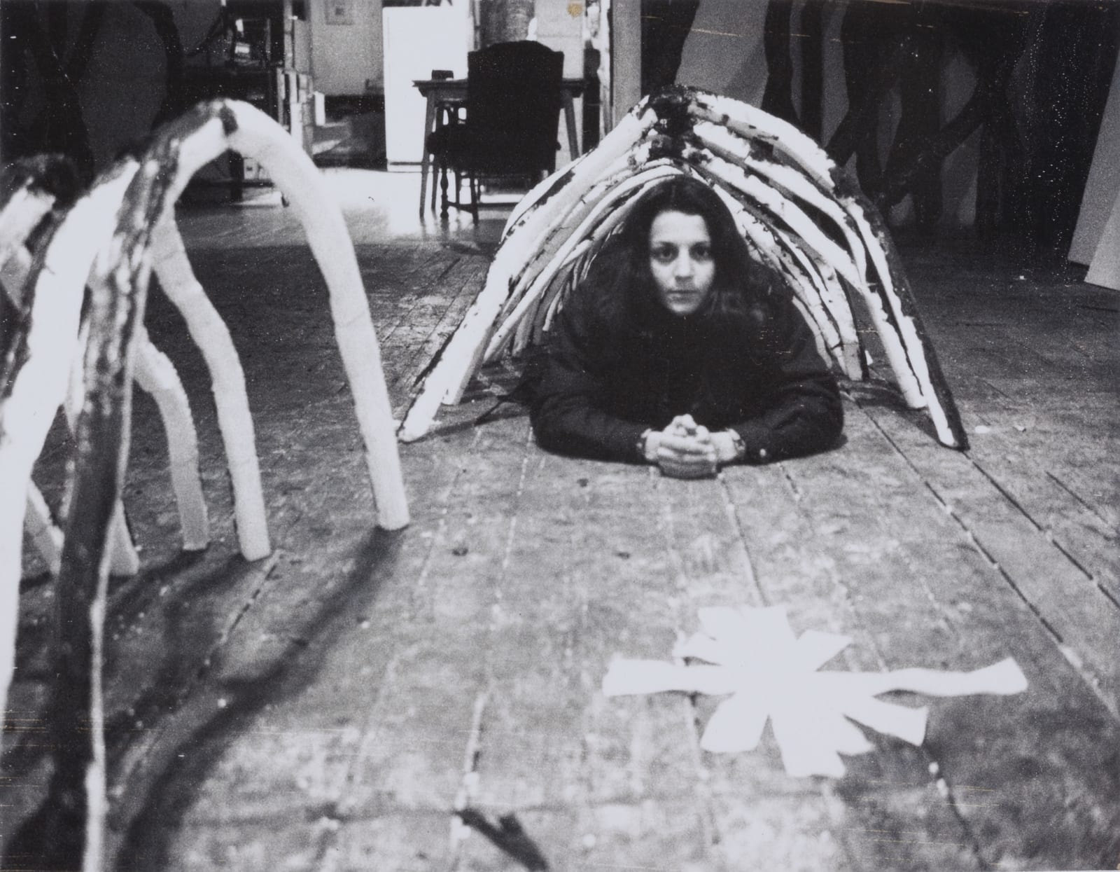 Link to Rosemarie Castoro Estate