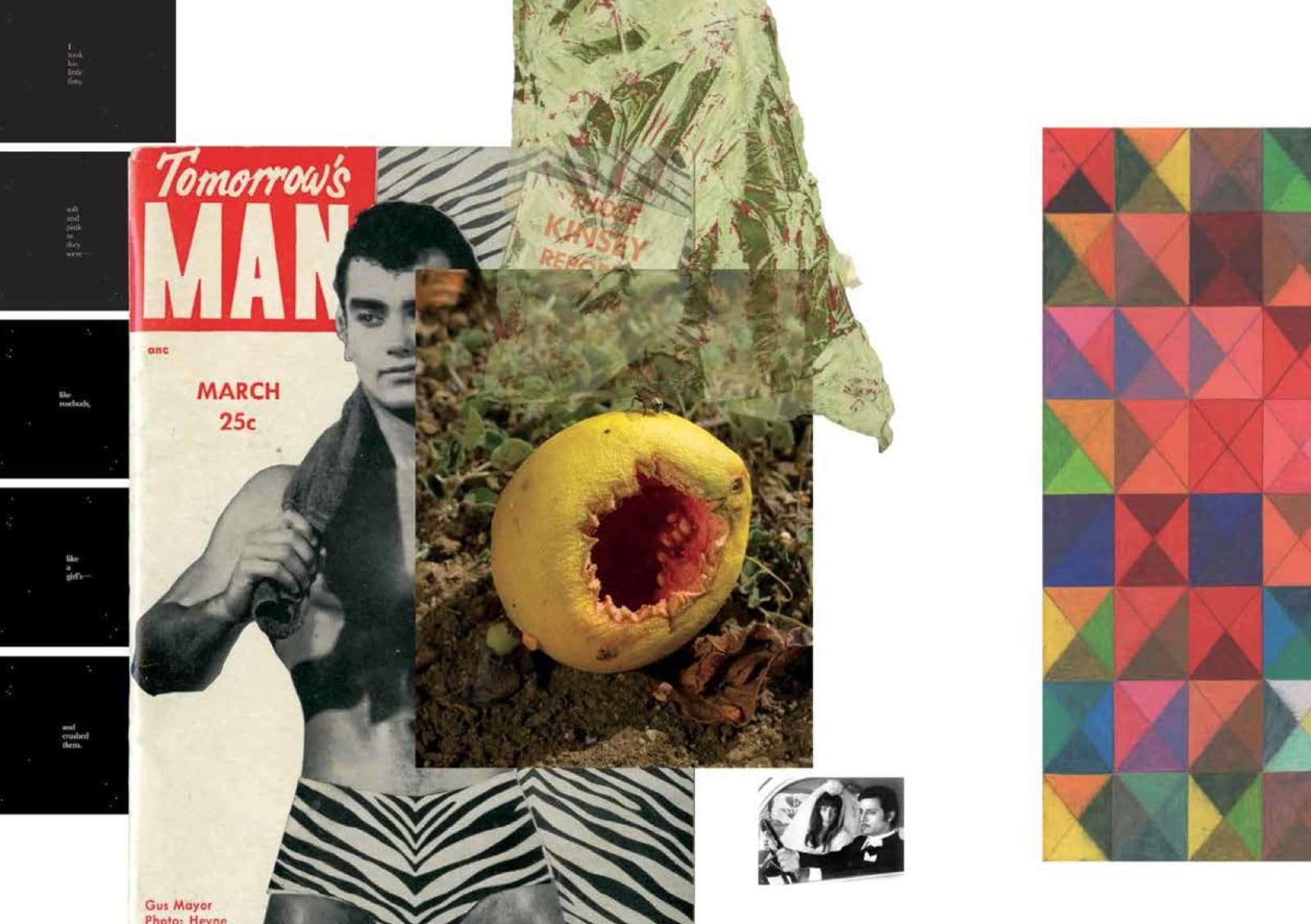 Group Exhibition Tomorrow's Man, curated by Jack Pierson