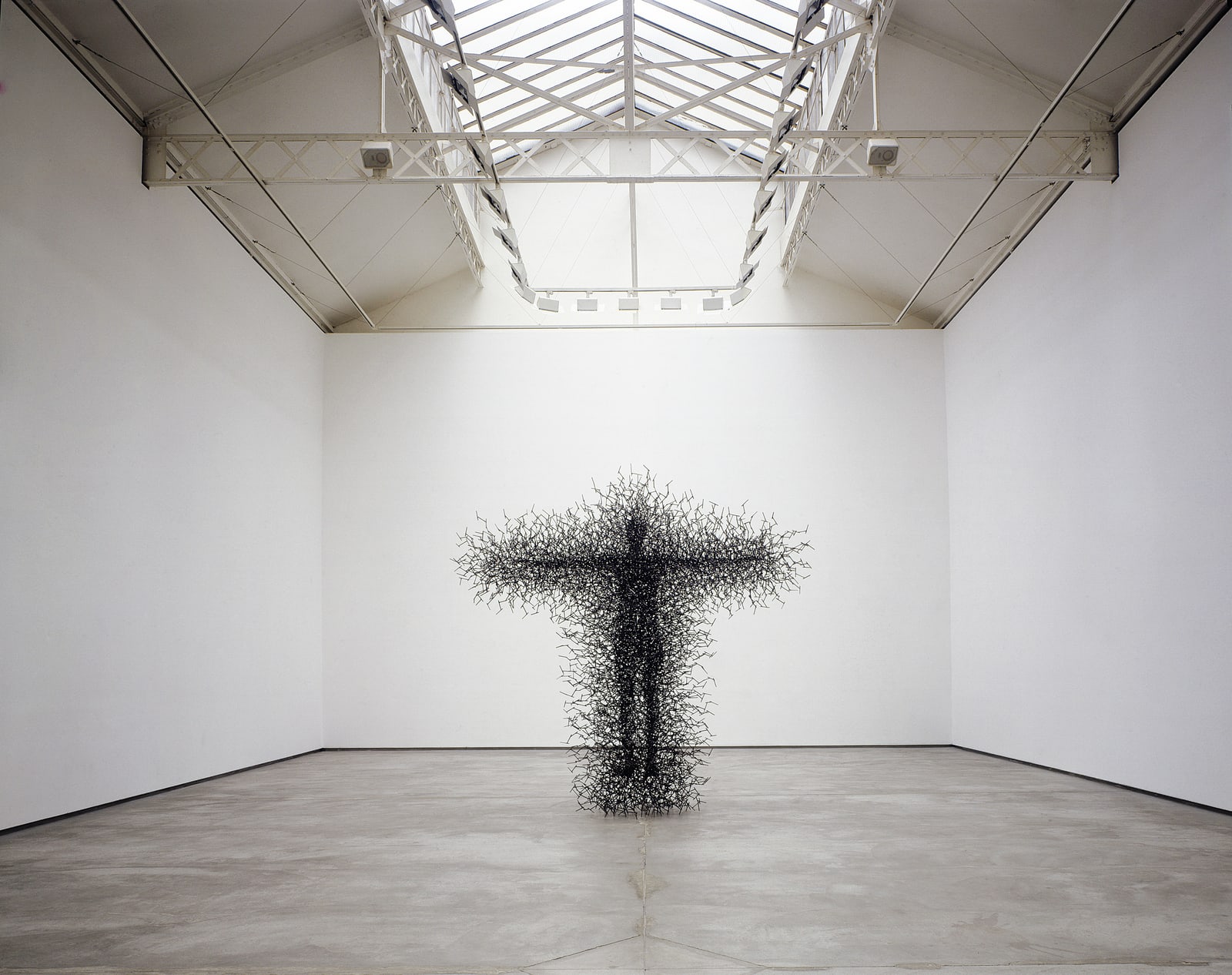 Antony Gormley: Quantum Cloud and Other Works, Galerie Thaddaeus Ropac Paris Marais, 2000