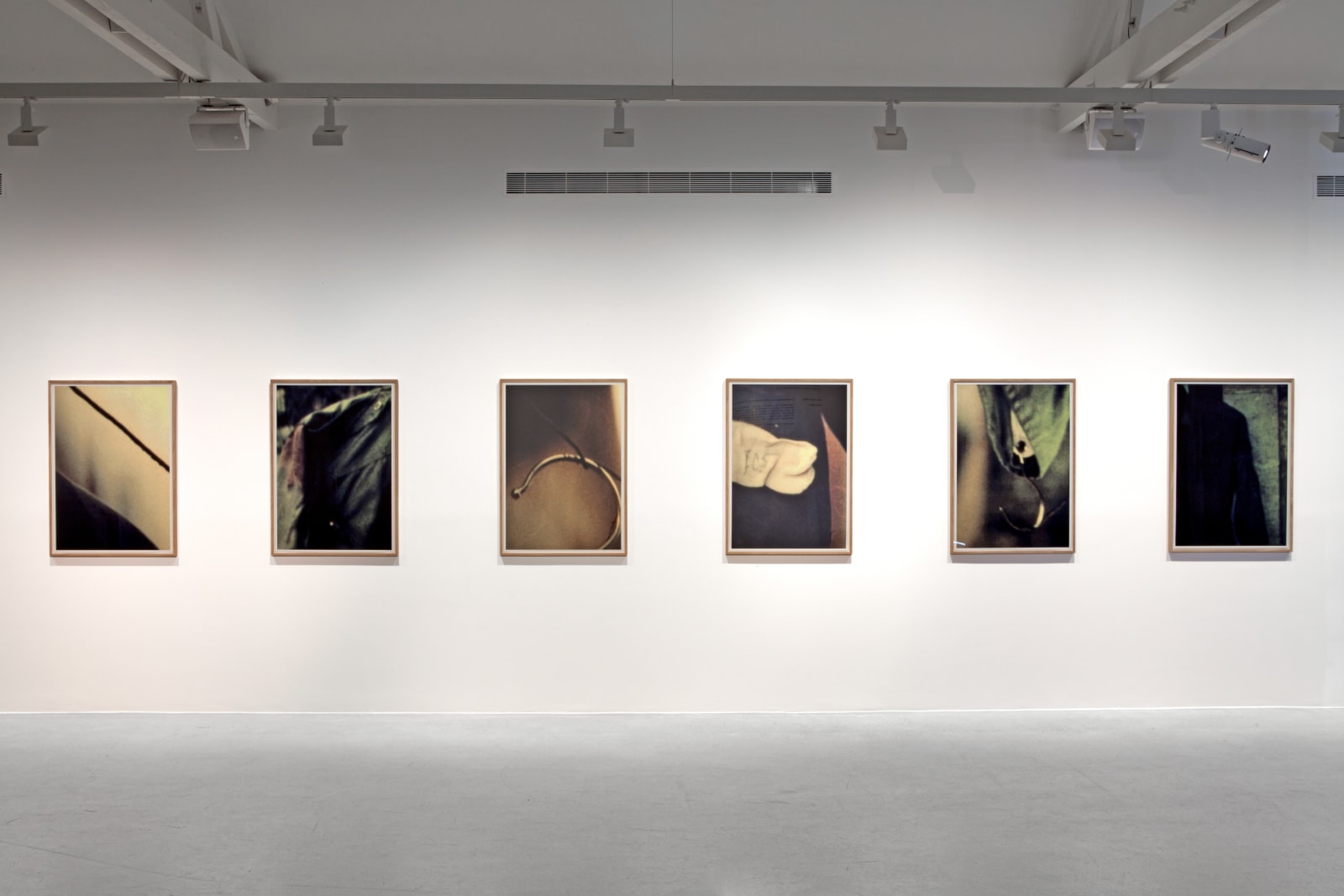 Amos Gitaï: Army Day Horizontal. Army Day Vertical, Galerie Thaddaeus Ropac Paris Pantin, 2014