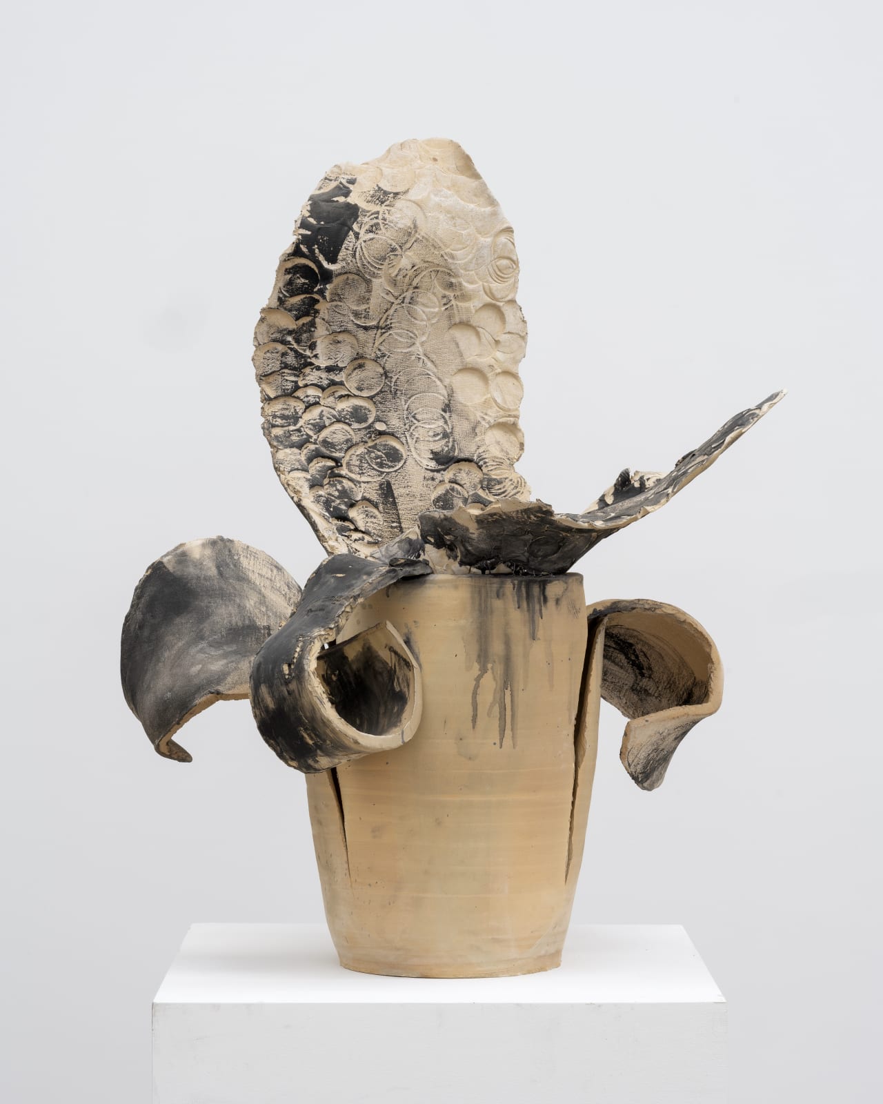 Barceló El Ceramista By Cornelius Tittel