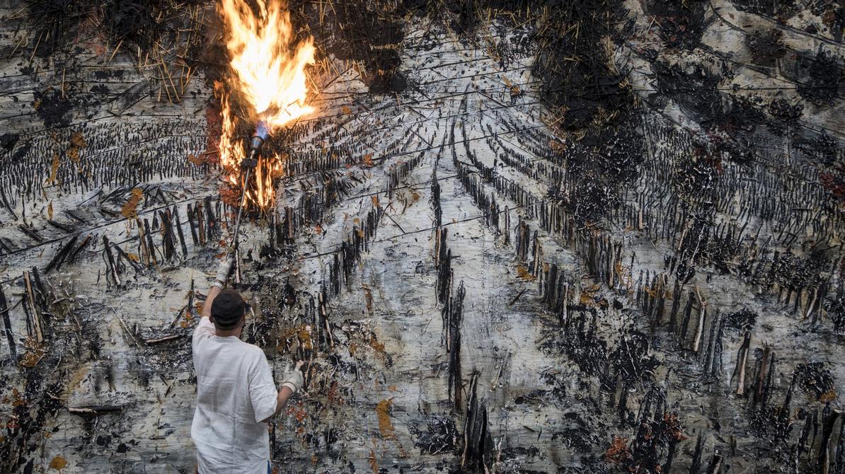 Anselm Kiefer, l’irrésistible ascension d’un artiste allemand en France