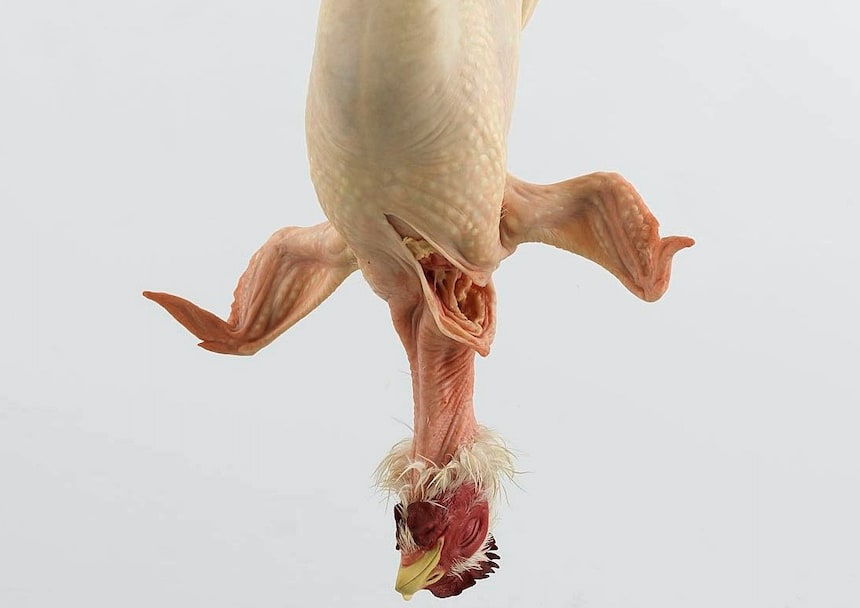 More art to see in Paris this fall